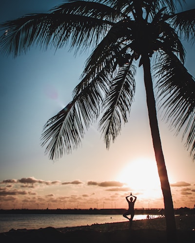 A silhouette of a person practicing yoga in a tree pose is framed by a large palm tree against the backdrop of a setting sun. The sky is filled with warm, golden hues as the sun dips below the horizon, casting a serene and peaceful ambiance.