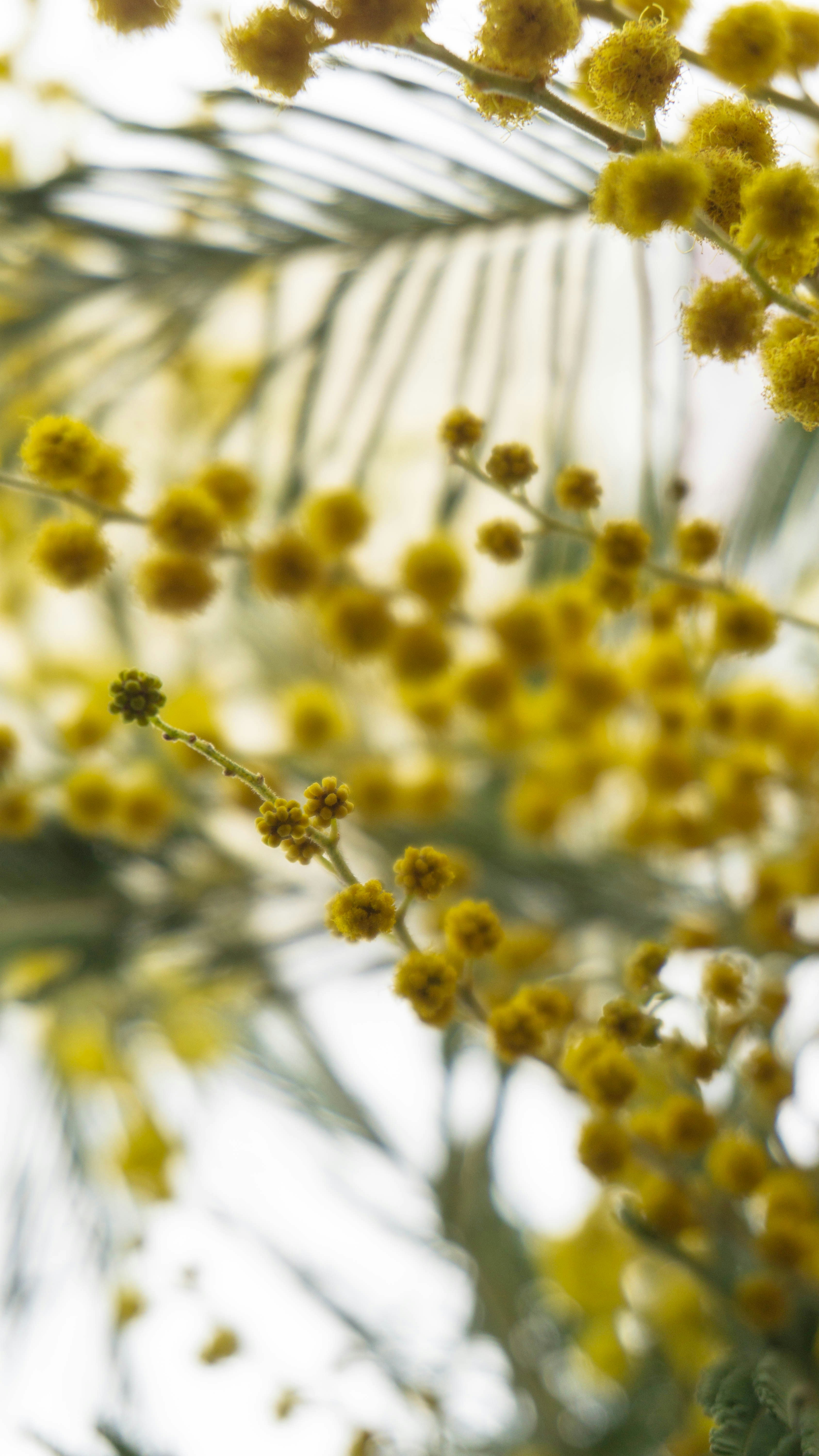 Photo by anainsomnia