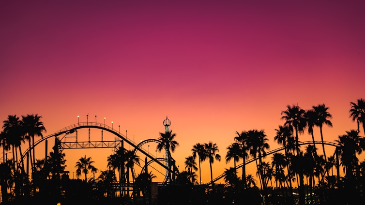 silhouette of palm trees during sunset