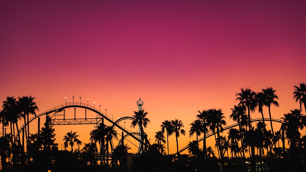 silhouette of palm trees during sunset