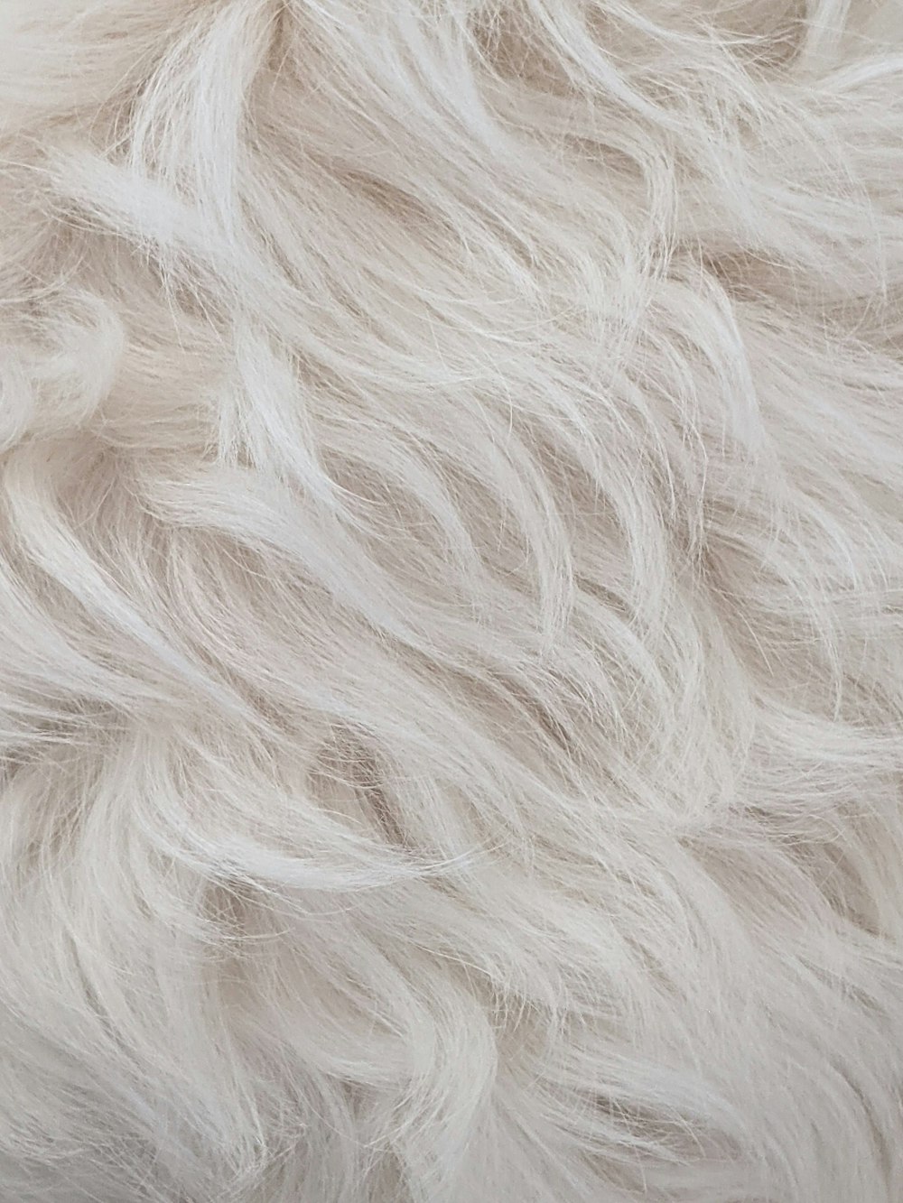 White fur texture Stock Photo by ©pproman 100906520