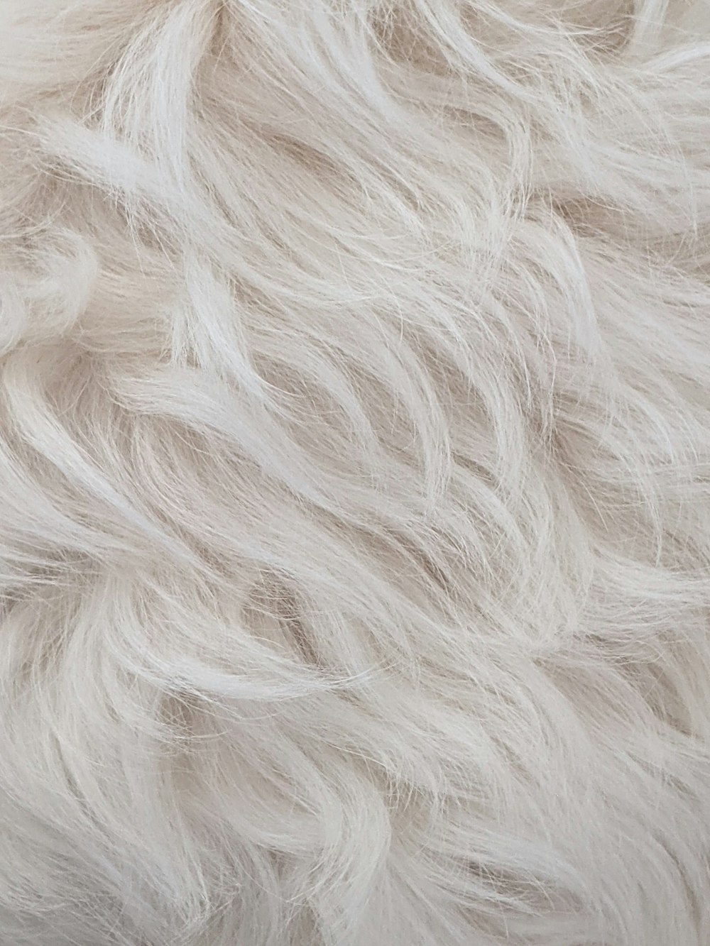 White Fur Stock Photo - Download Image Now - Fur, Animal Hair, White Color  - iStock