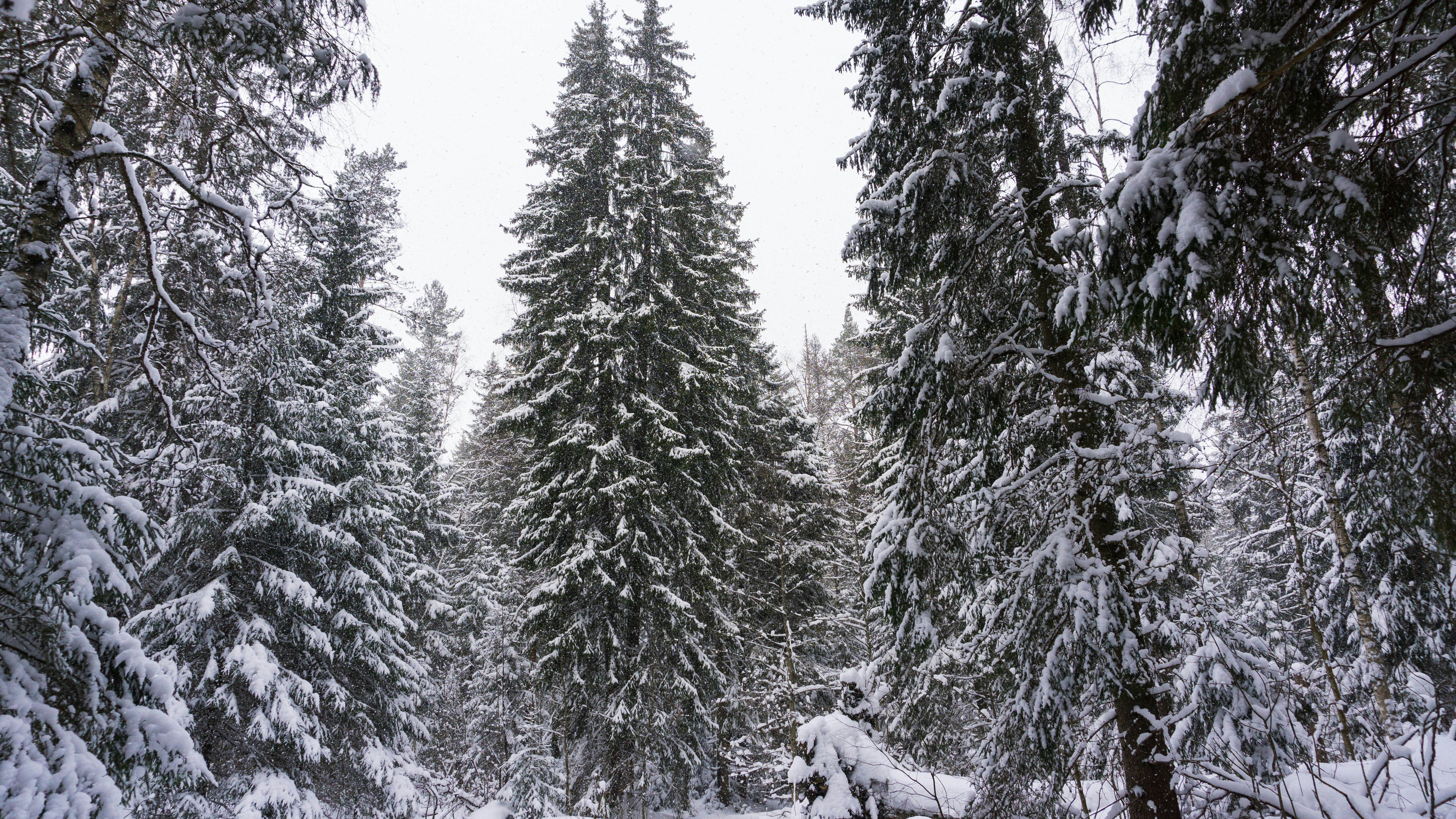 Photo by anainsomnia