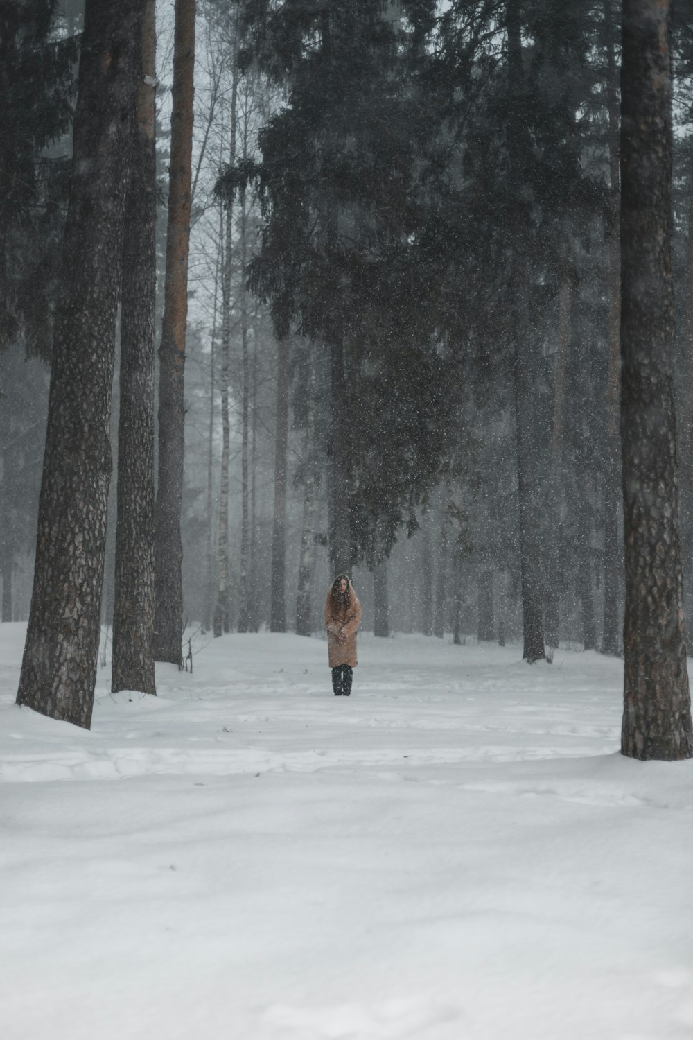 Person in brauner Jacke geht auf schneebedecktem Boden