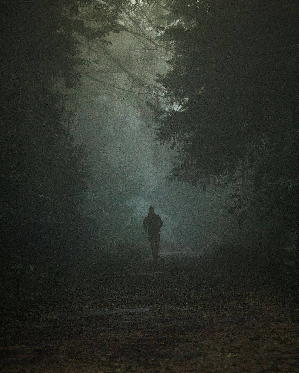 person in black jacket walking on forest