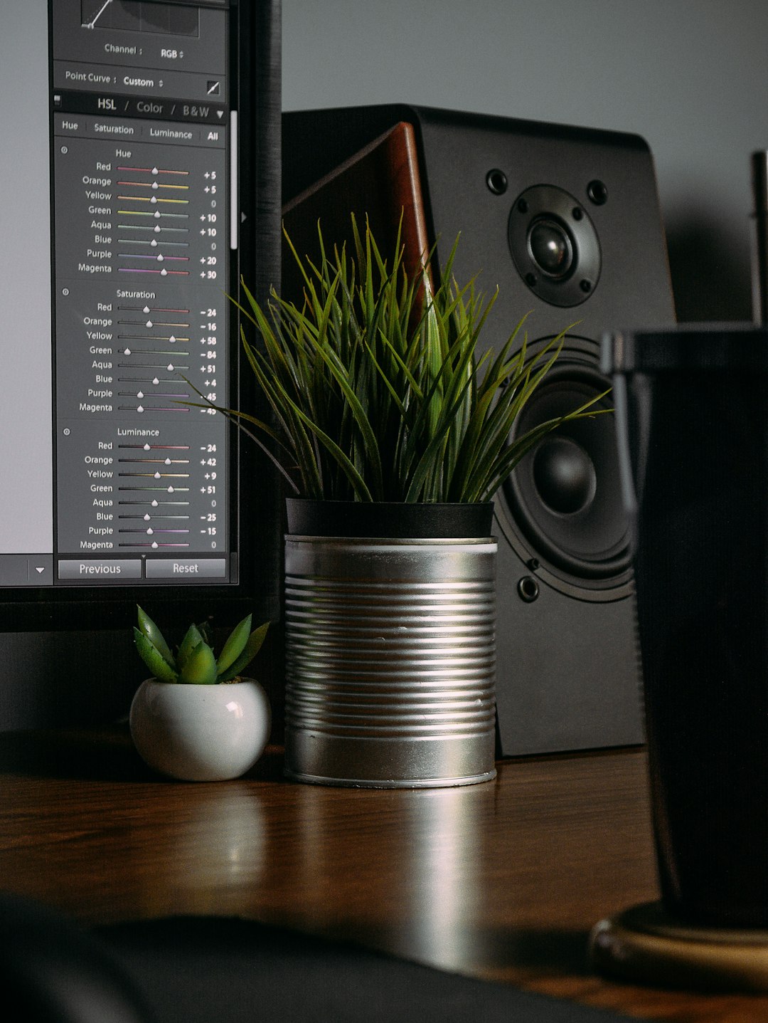 green plant on brown wooden table