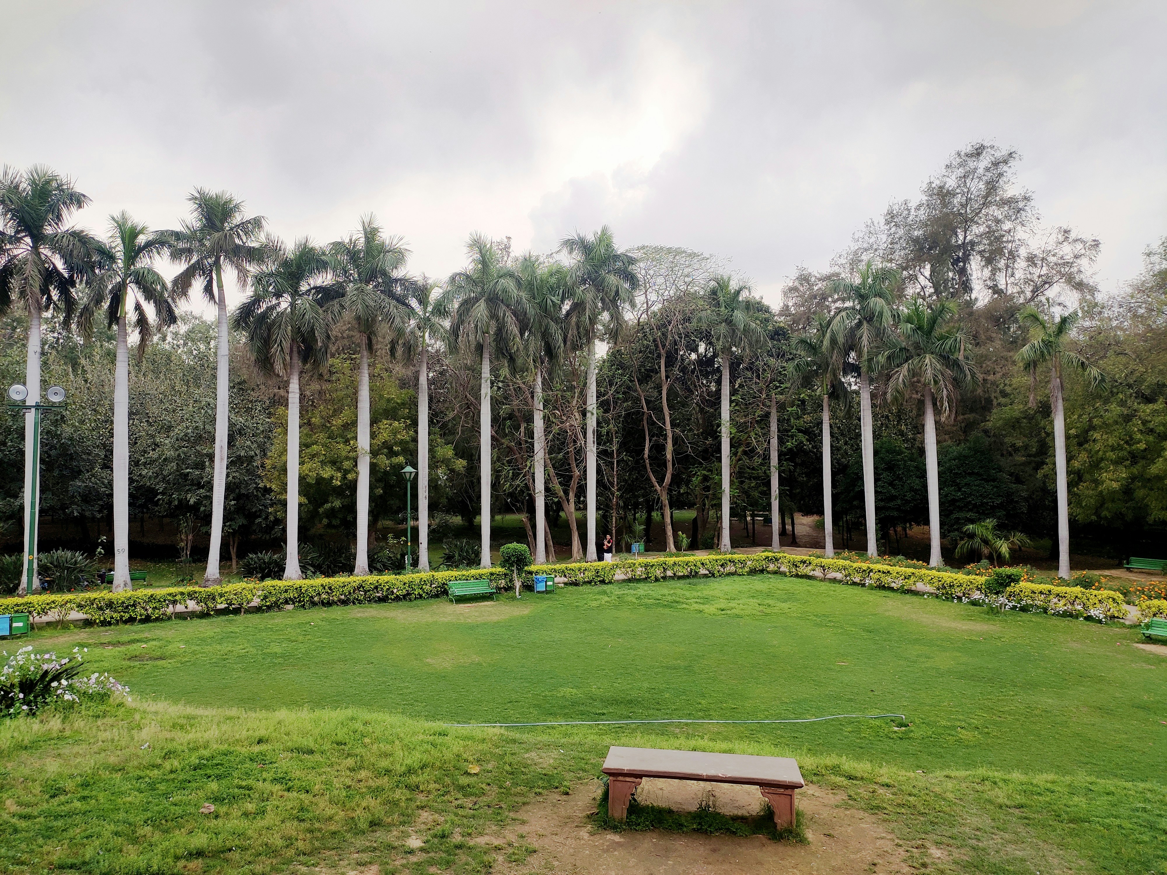 Essential Garden Services in Doha, Qatar