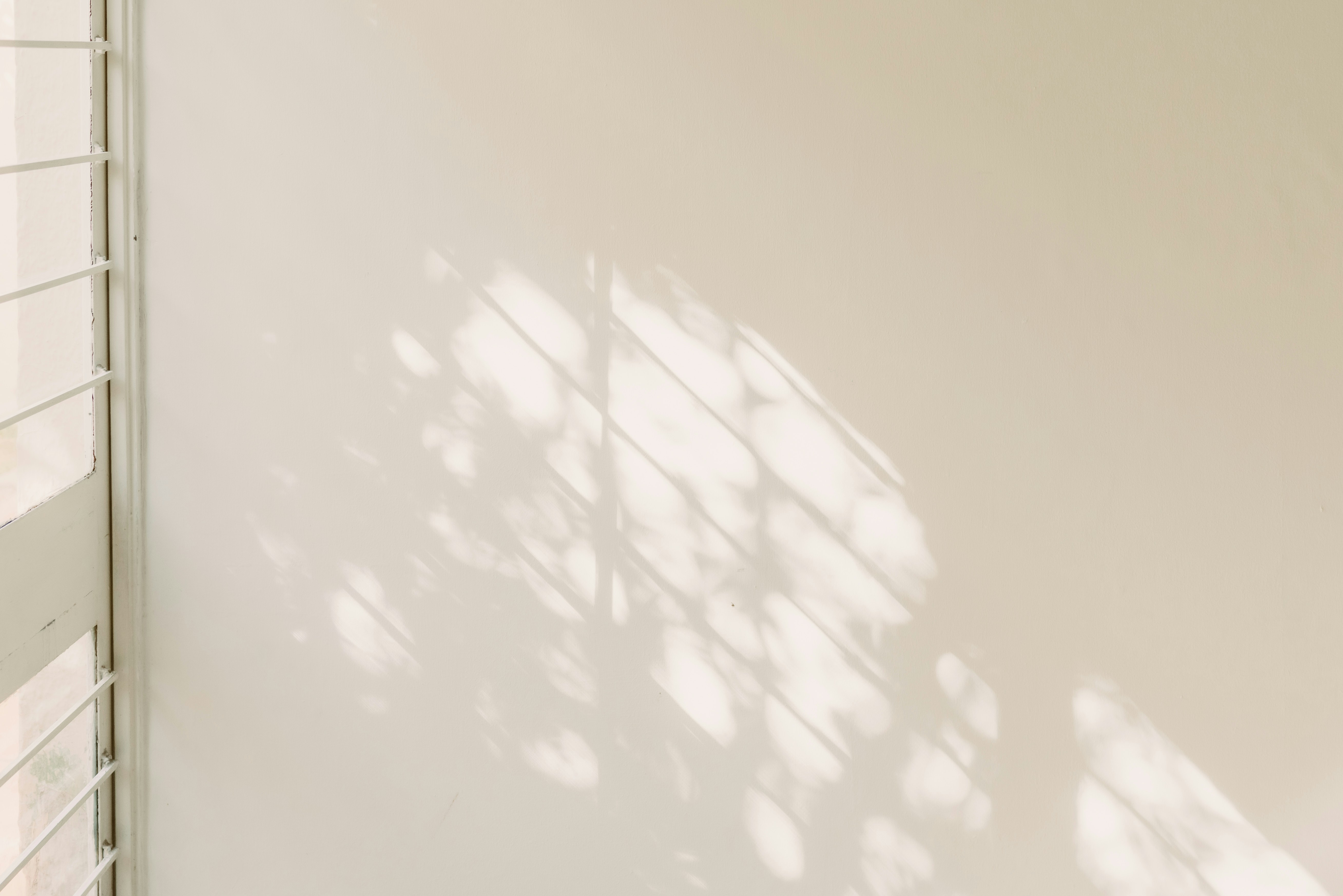 Photo by brunocervera