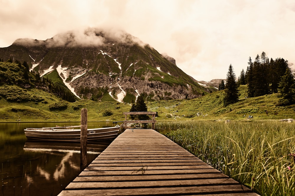 brown wooden dock on green grass field near mountain during daytime