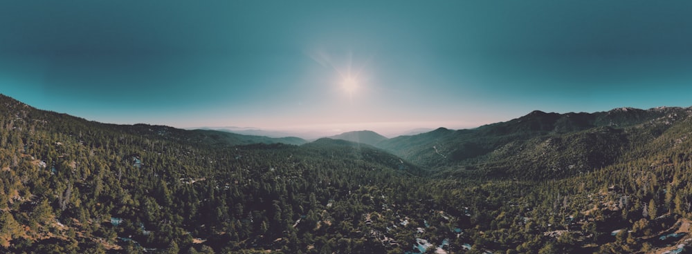 green trees on mountain during daytime