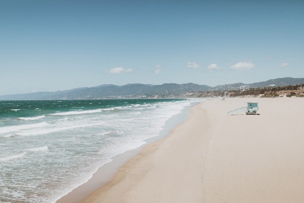 people on beach during daytime