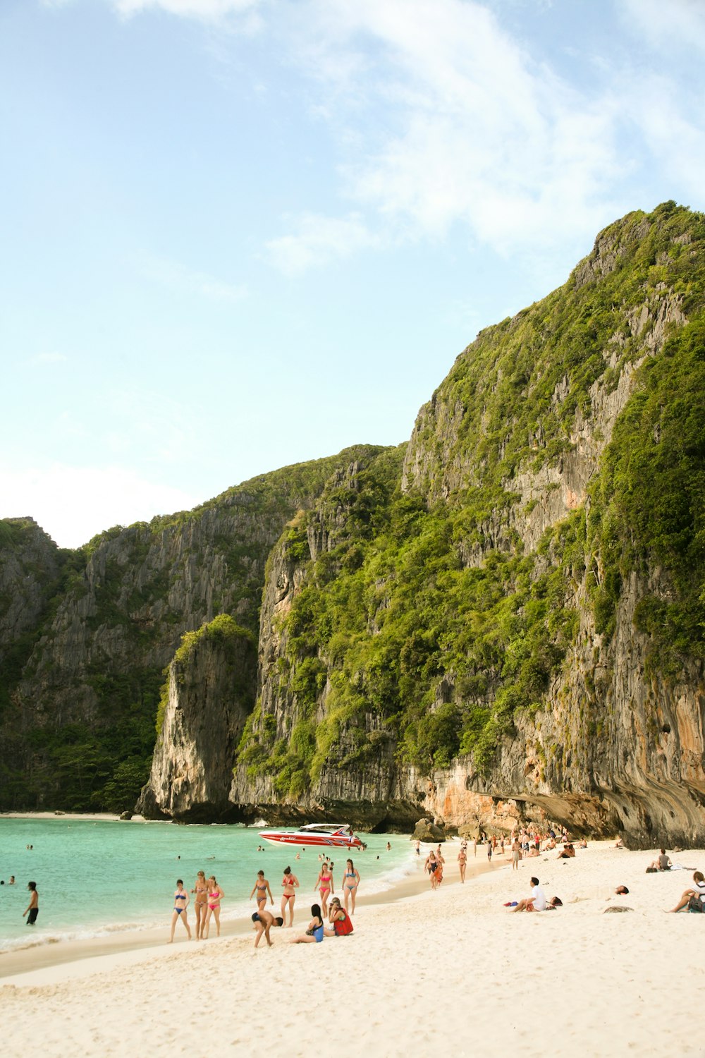 people on beach during daytime