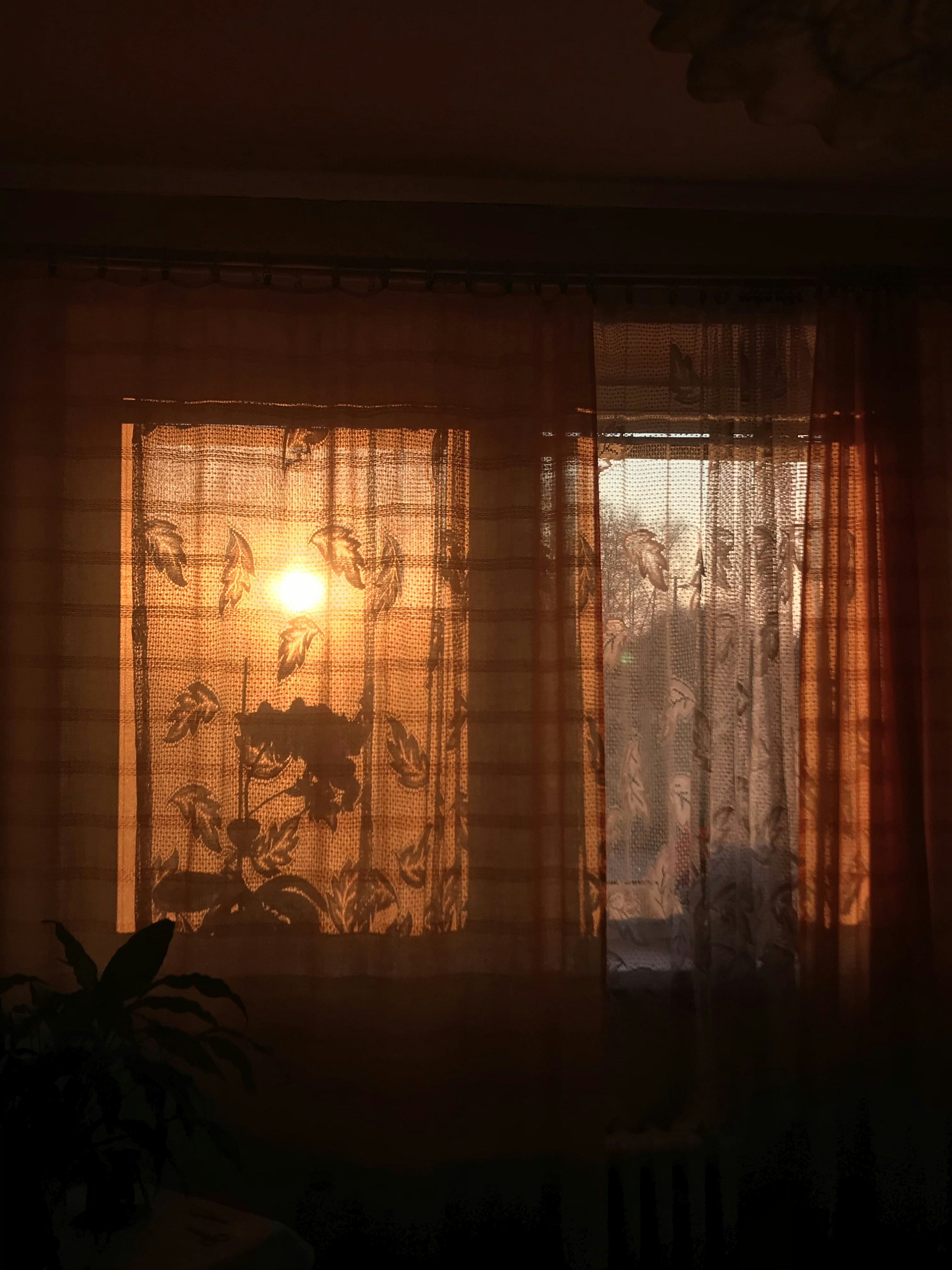 Photo by bajavastikova