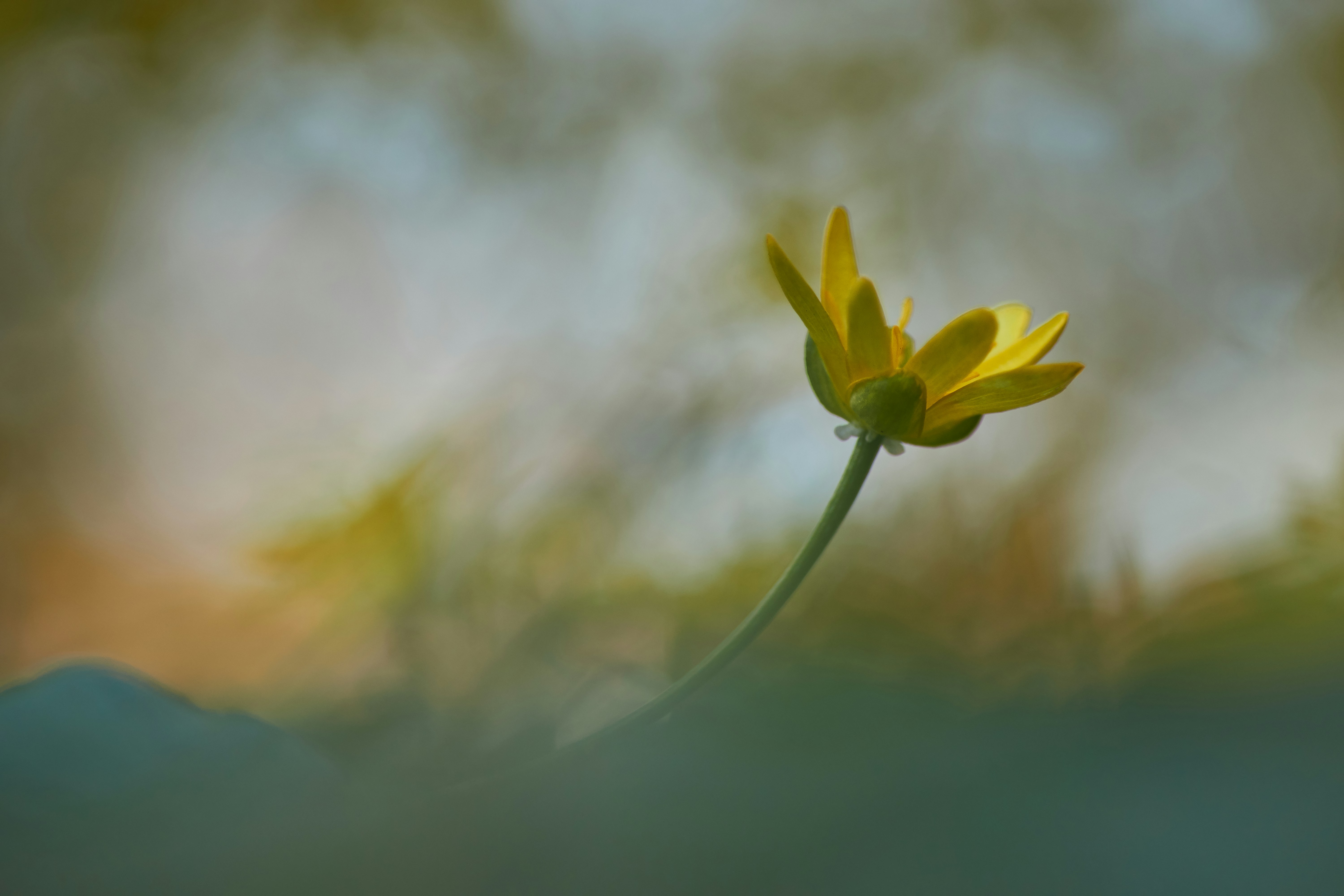 Photo by wolfgang_hasselmann