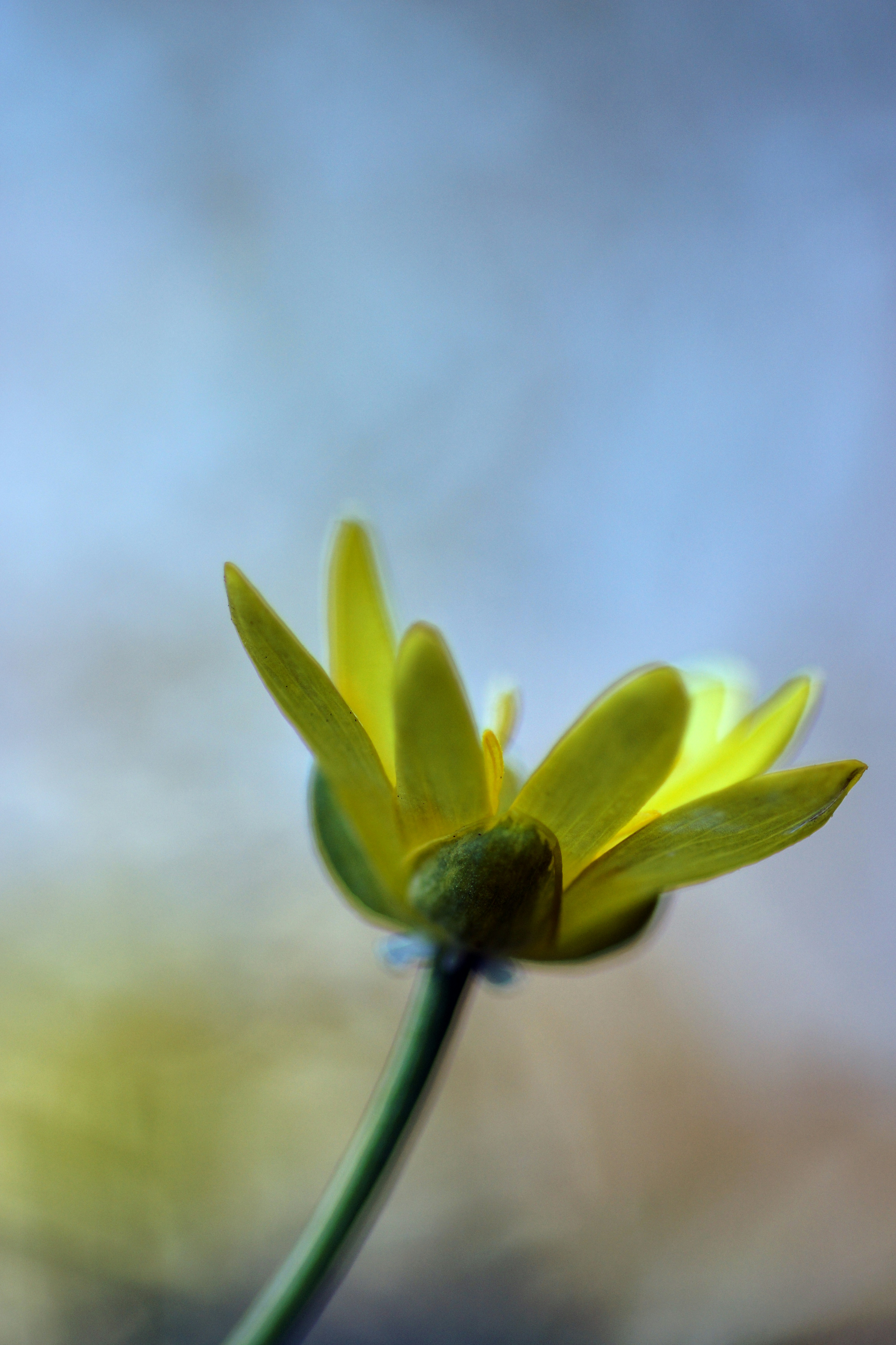 Photo by wolfgang_hasselmann