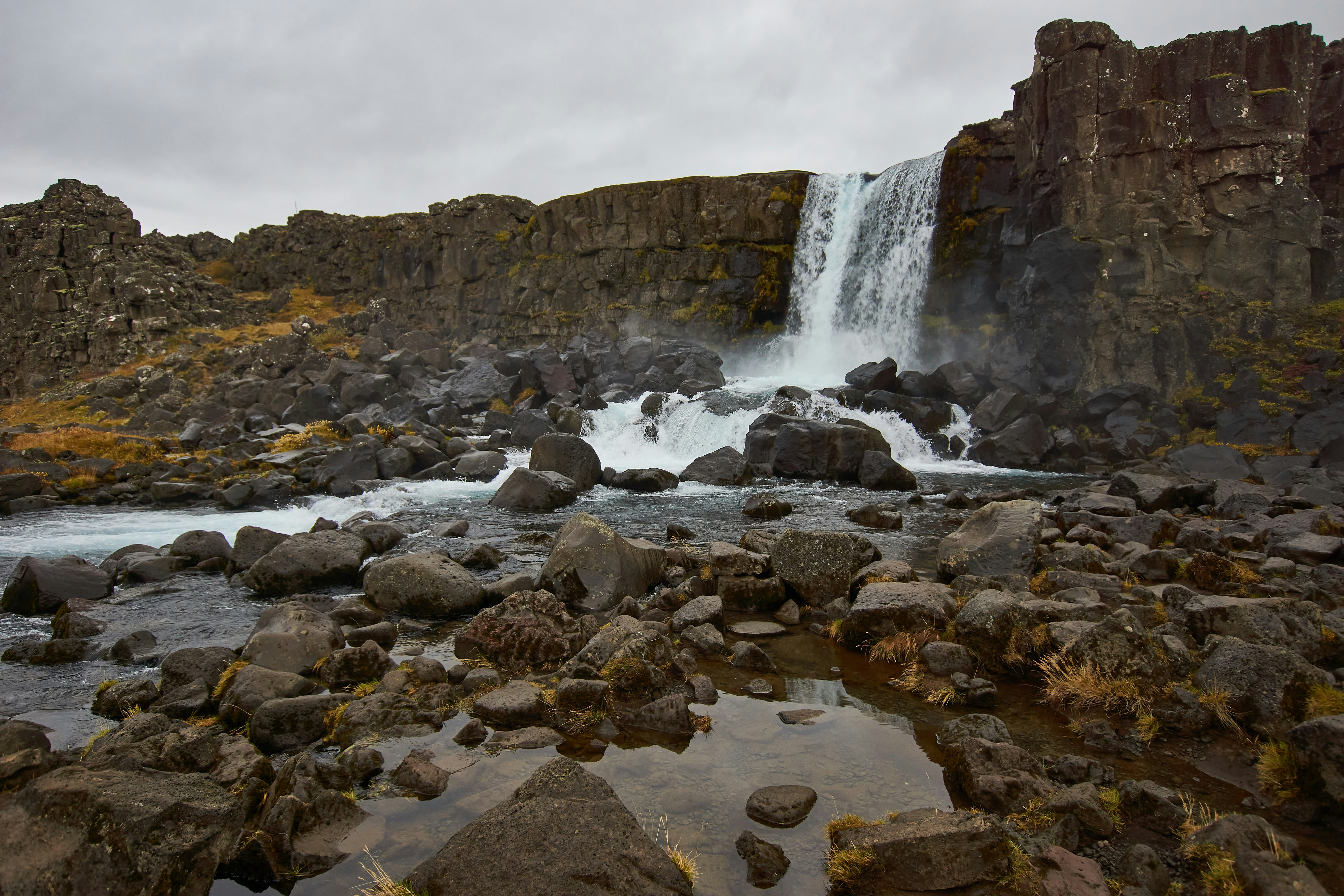 Photo by wolfgang_hasselmann