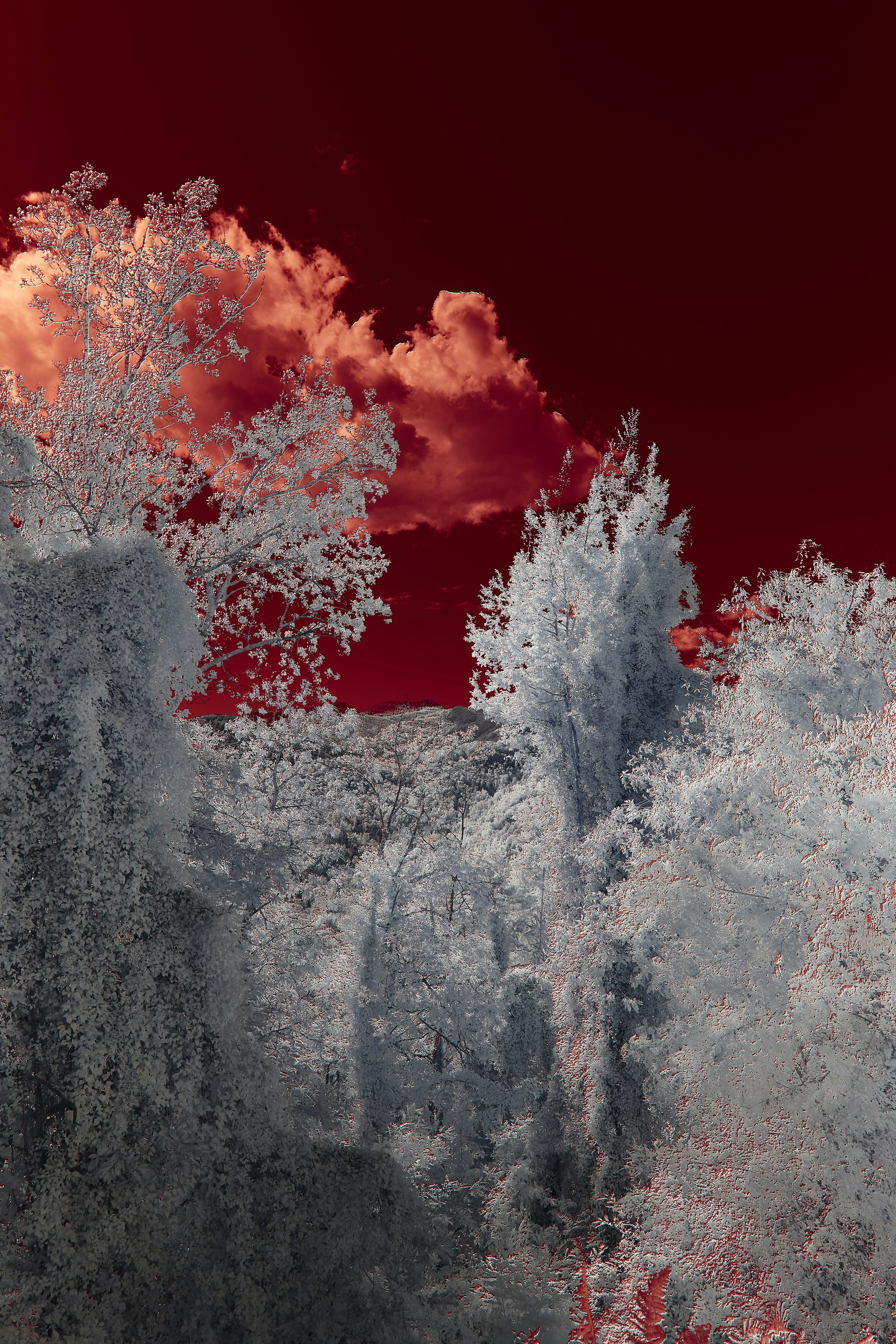 Photo by wolfgang_hasselmann