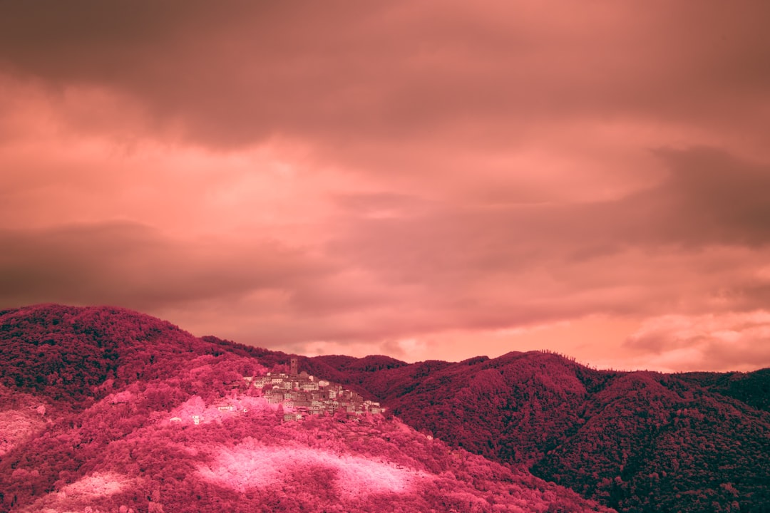 brown and green mountains under gray clouds