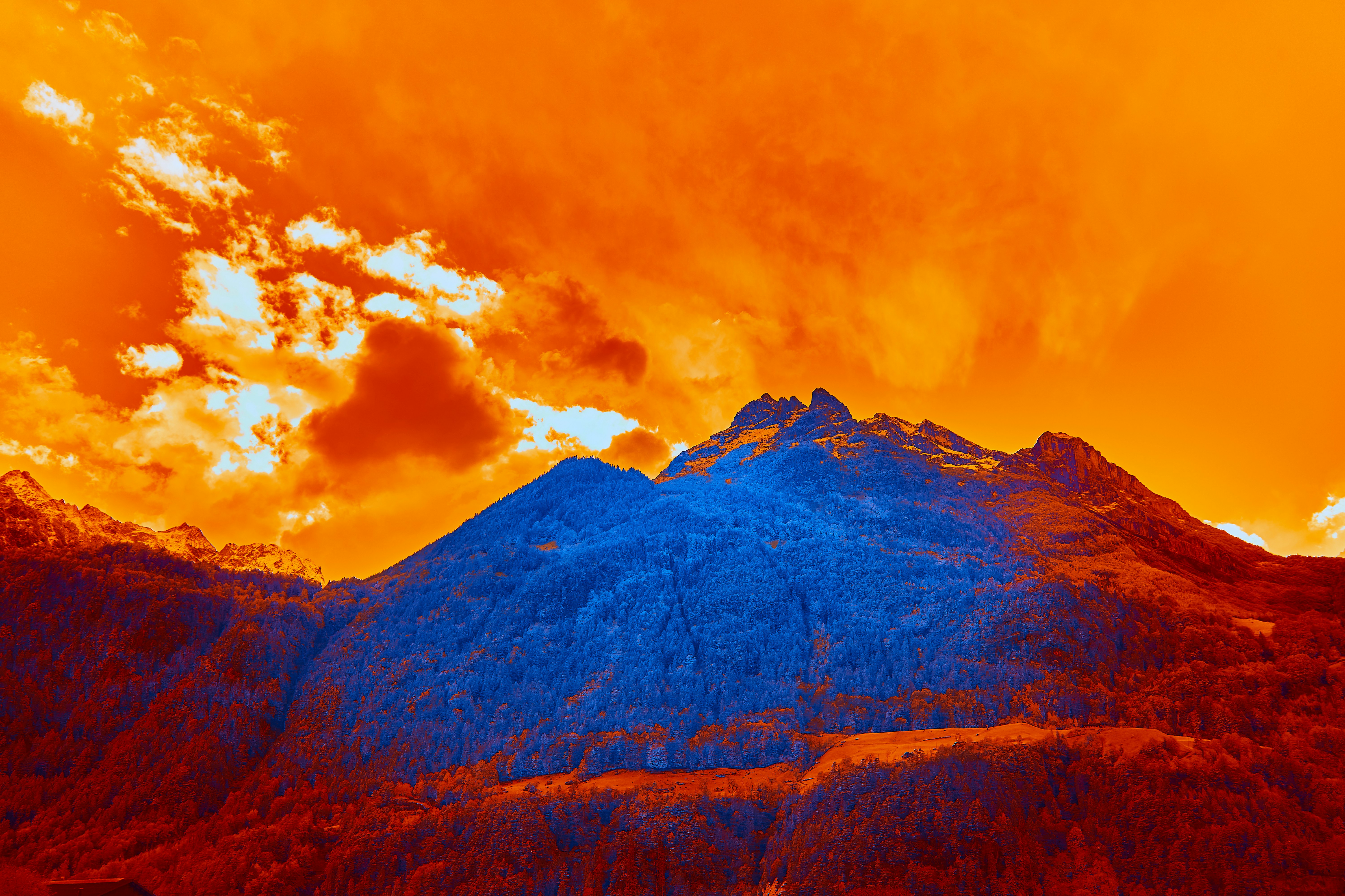 Photo by wolfgang_hasselmann