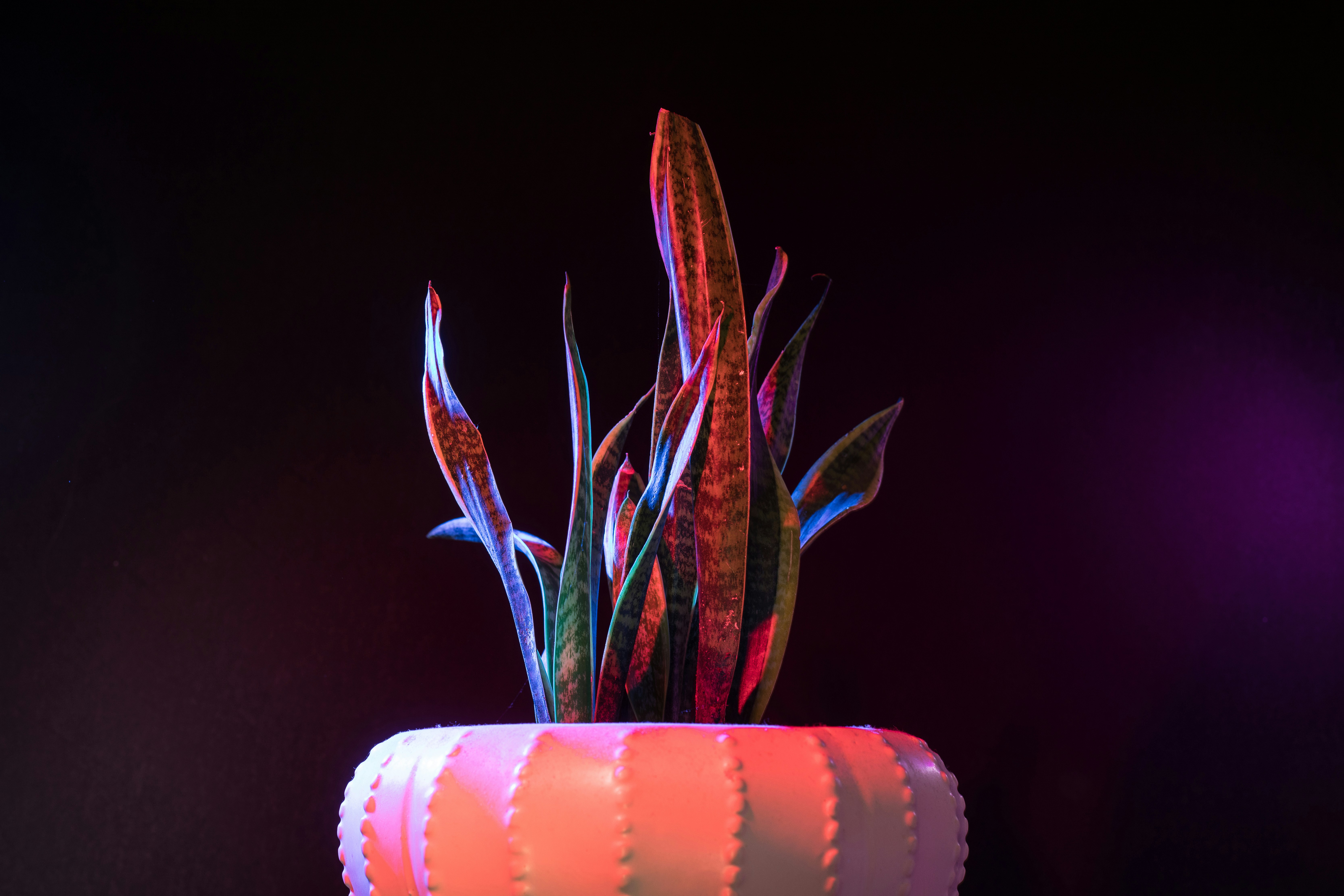 Ein bunter Geburtstagskuchen mit angezündeten Kerzen