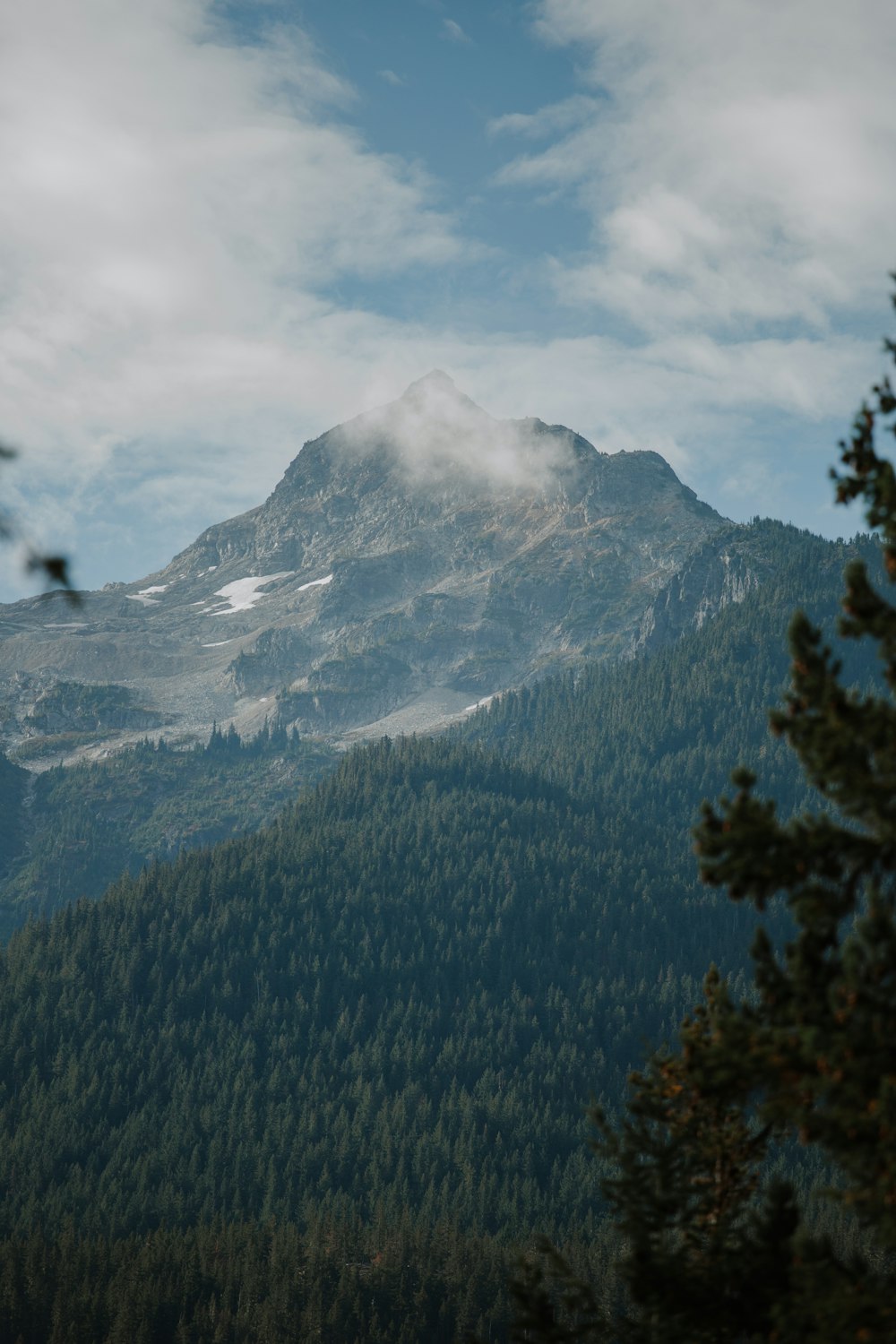 green trees near snow covered mountain during daytime