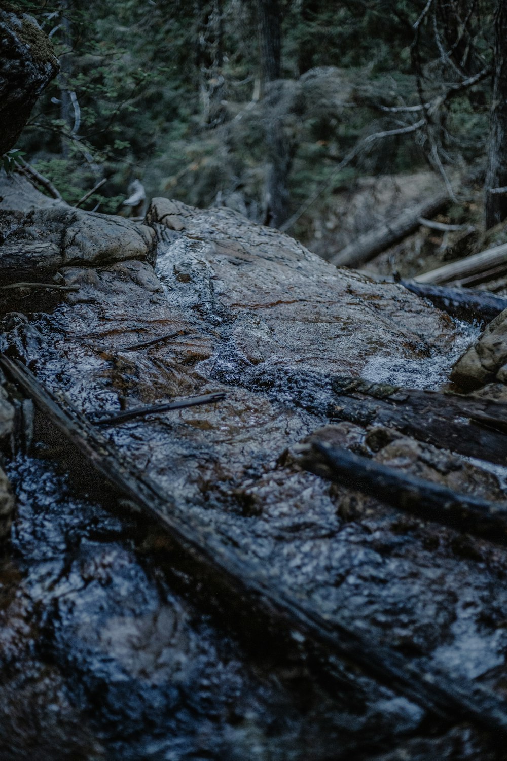 brown wood log on river