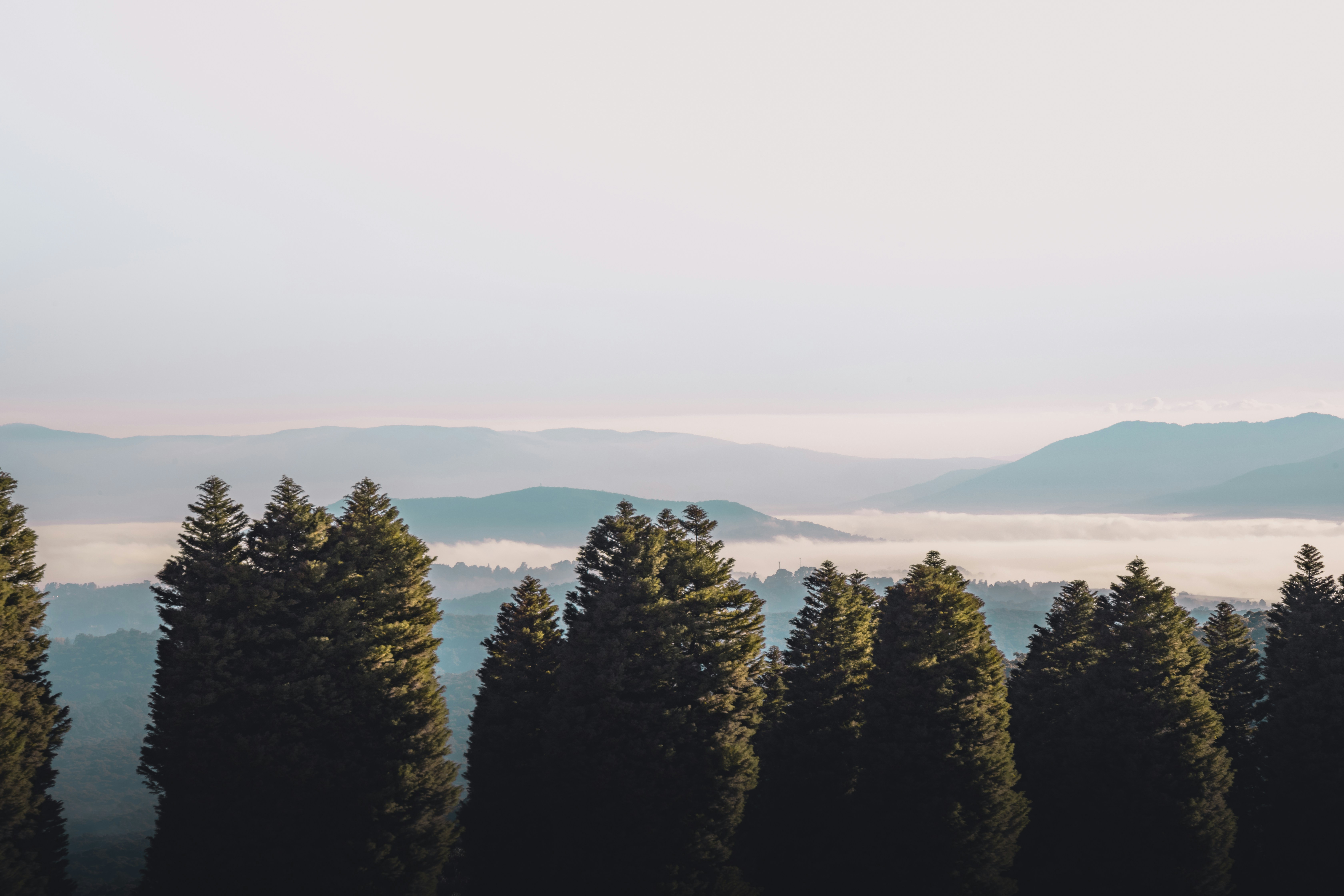 green trees near mountain during daytime, 