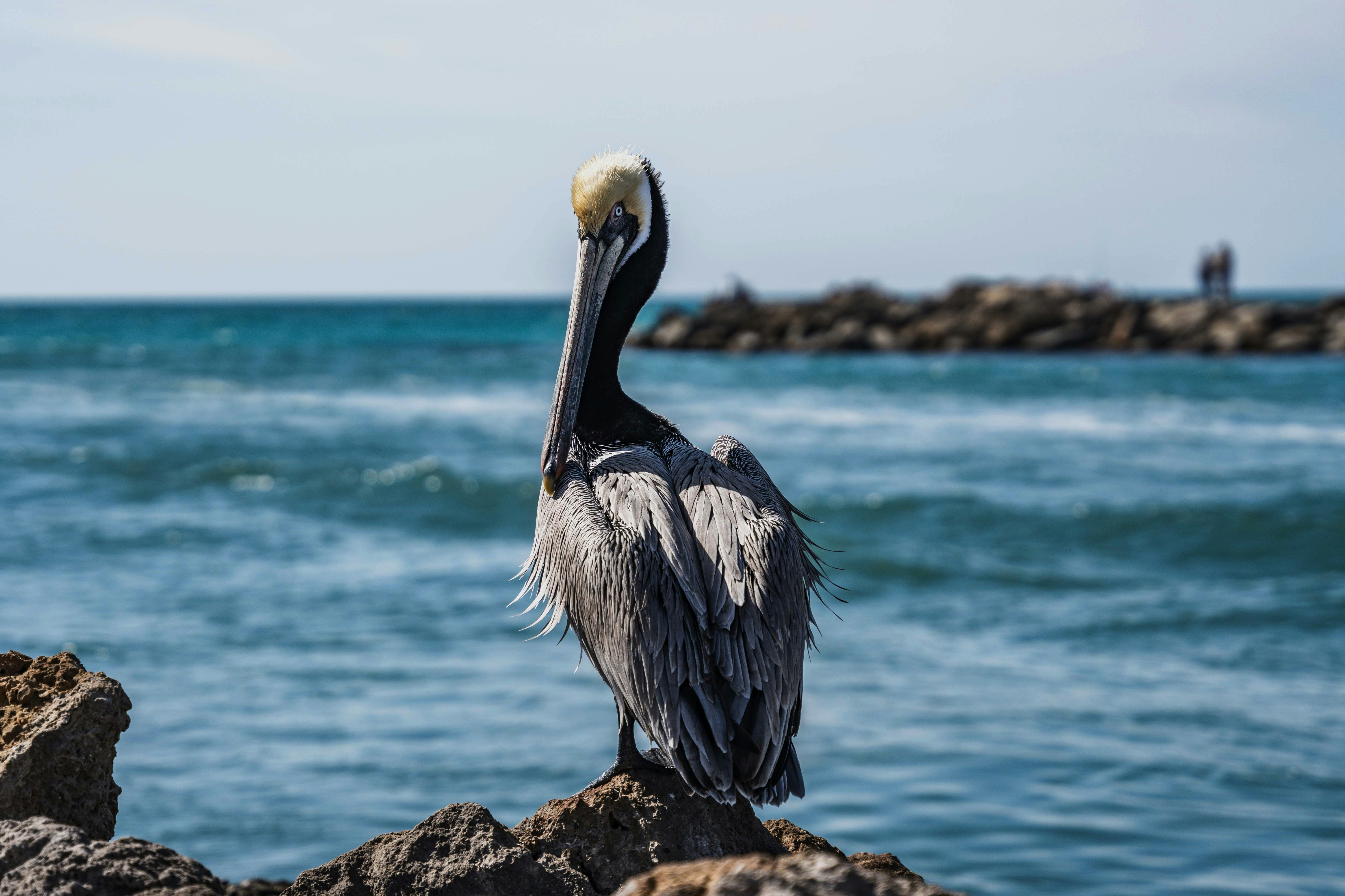 Photo by sandbarproductions