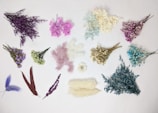 An arrangement of dried flowers and leaves in various colors, including purple, pink, blue, and white, spread out on a white background. The composition includes delicate bunches and individual stems, giving the arrangement a casual and artistic feel.