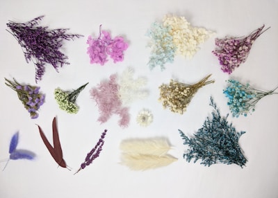 An arrangement of dried flowers and leaves in various colors, including purple, pink, blue, and white, spread out on a white background. The composition includes delicate bunches and individual stems, giving the arrangement a casual and artistic feel.