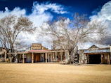 Sweeping panorama of a rugged frontier town with wooden buildings and drifting tumbleweeds.