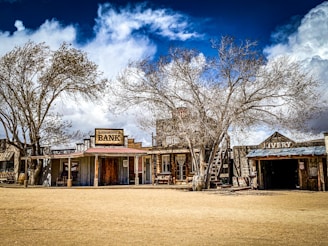 A rustic, old western-style town with wooden buildings lining the street under a wide blue sky with scattered clouds. Prominent structures include a bank, hotel, and livery stable, surrounded by bare trees and a sandy ground.