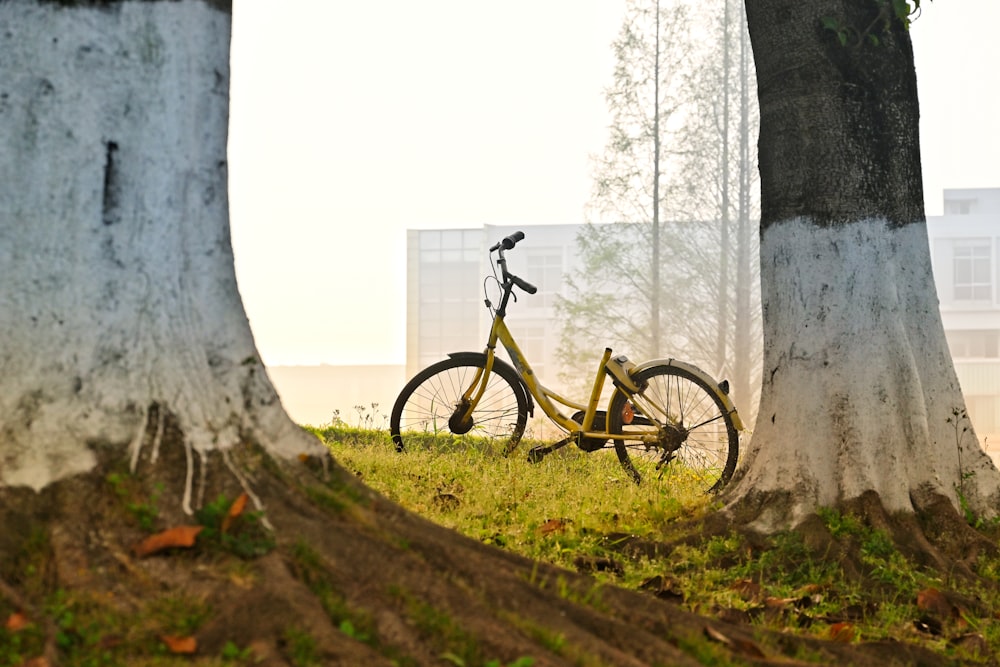 yellow and black bicycle on green grass field near white wall