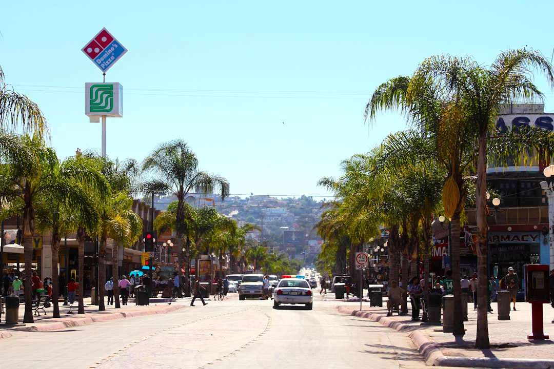15+ Best Things to Do in Tijuana: Unveiling the Unique Gems of Mexico's ...