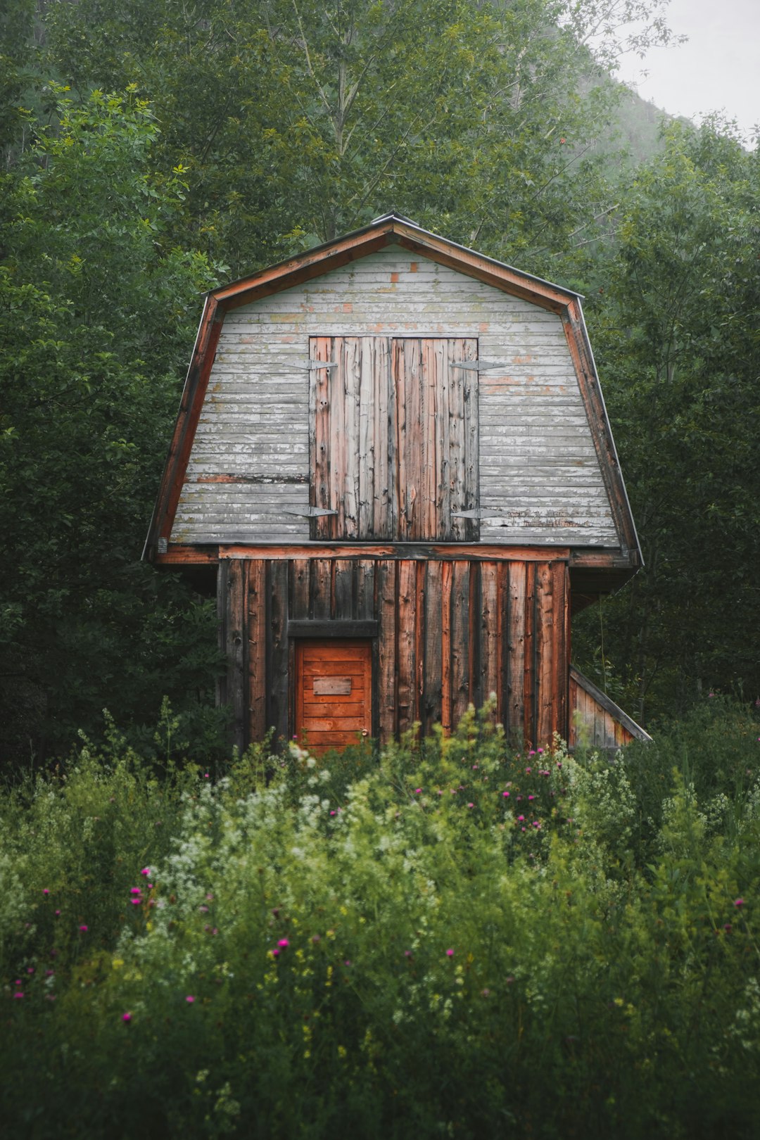 brown wooden house surrounded by green trees during daytime