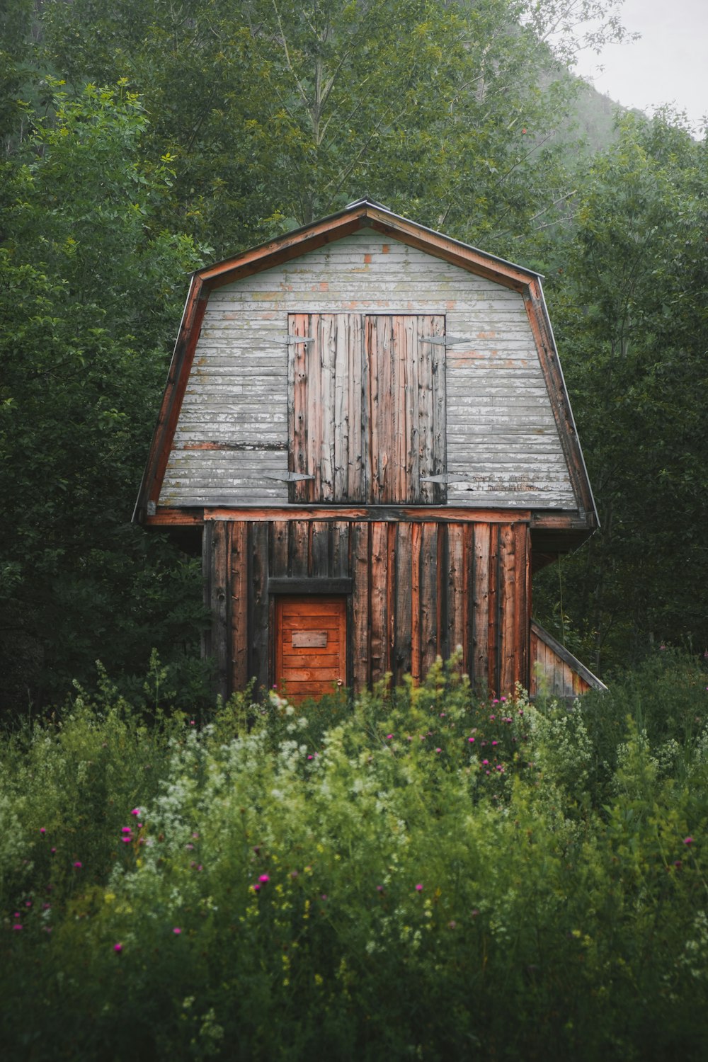 brown wooden house surrounded by green trees during daytime