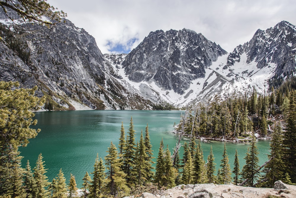 green pine trees near lake and snow covered mountain during daytime