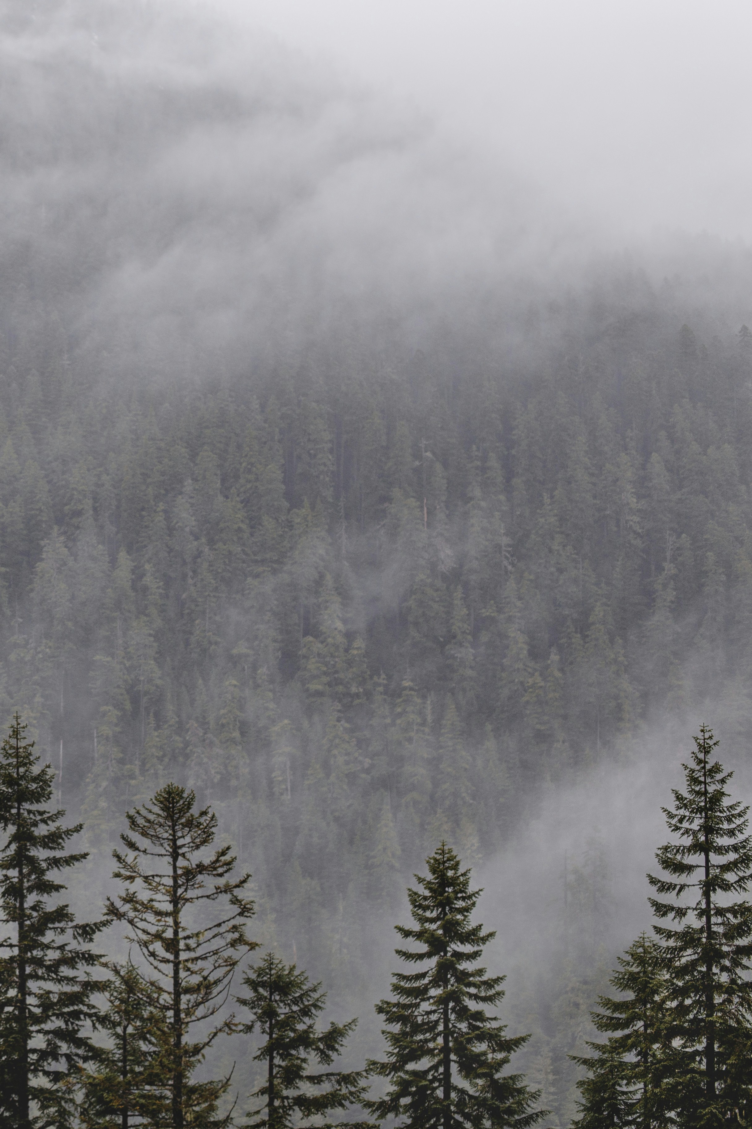 Photo by veronika_bykovich