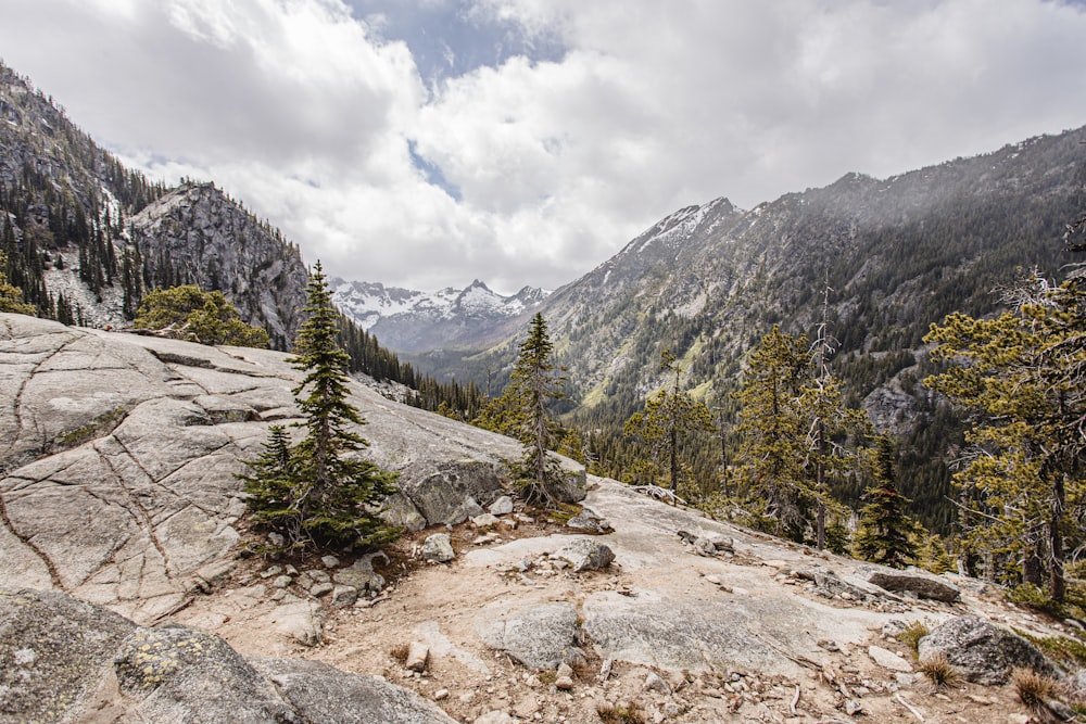 green trees on mountain under cloudy sky during daytime