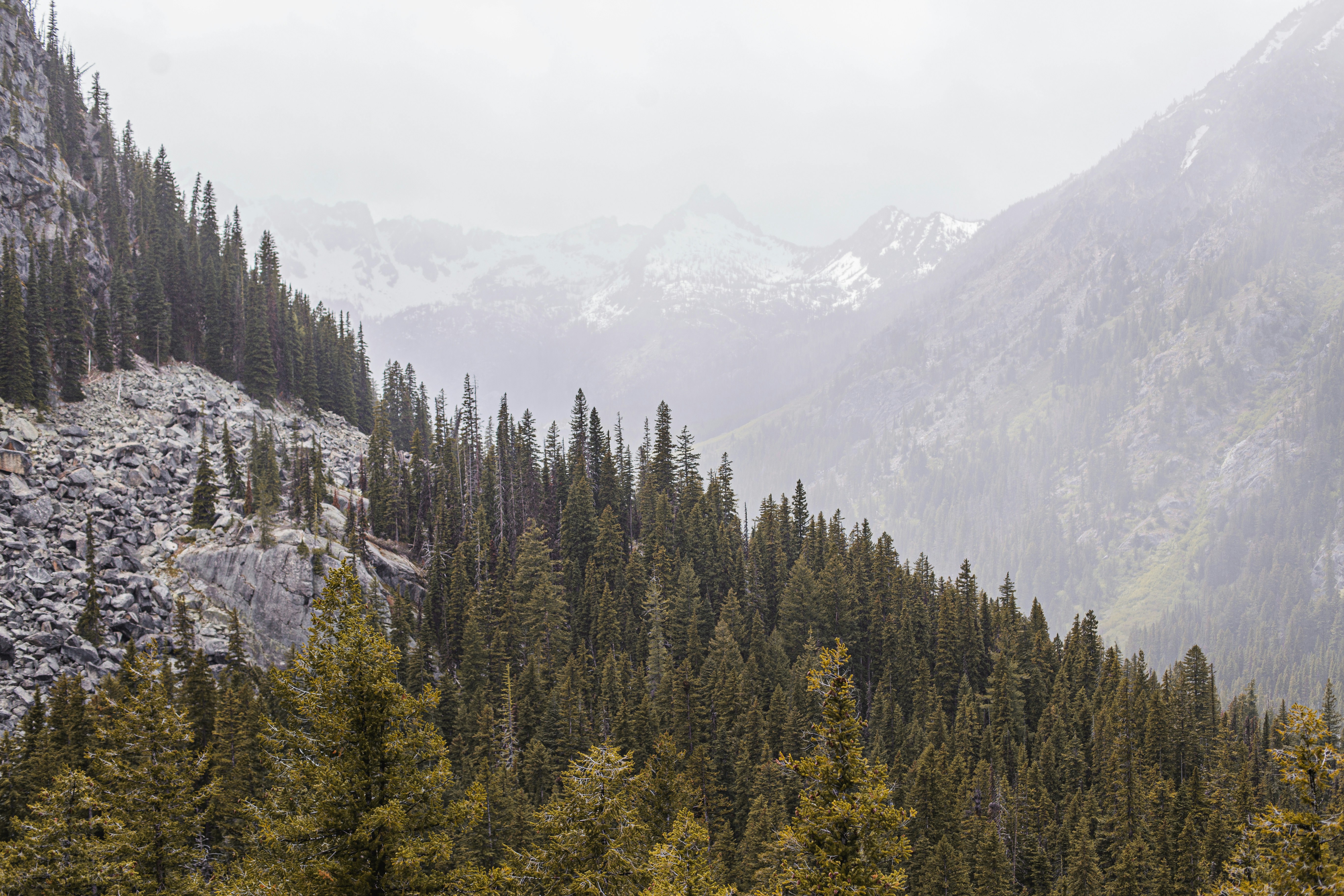 Photo by veronika_bykovich