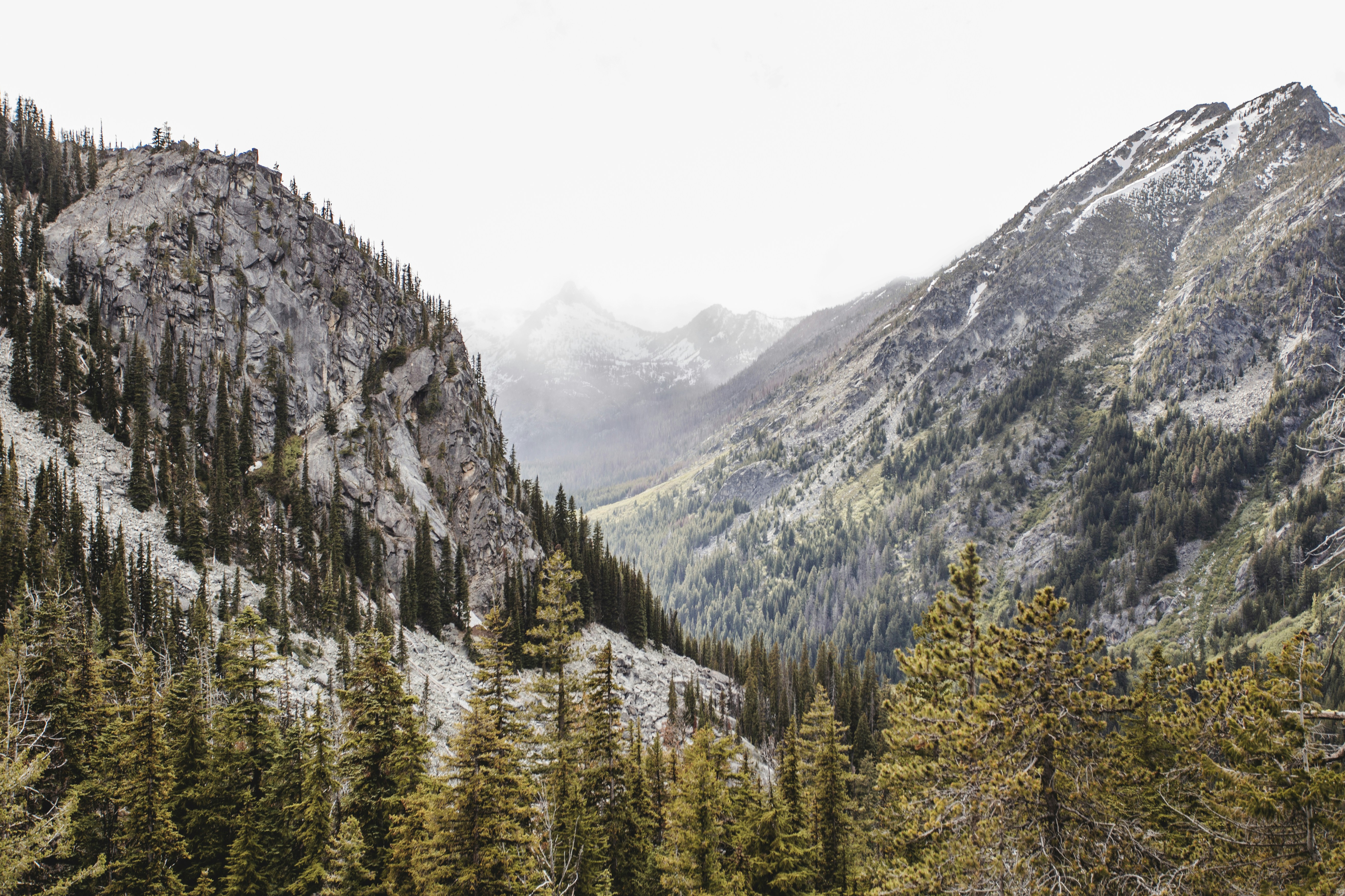 Photo by veronika_bykovich