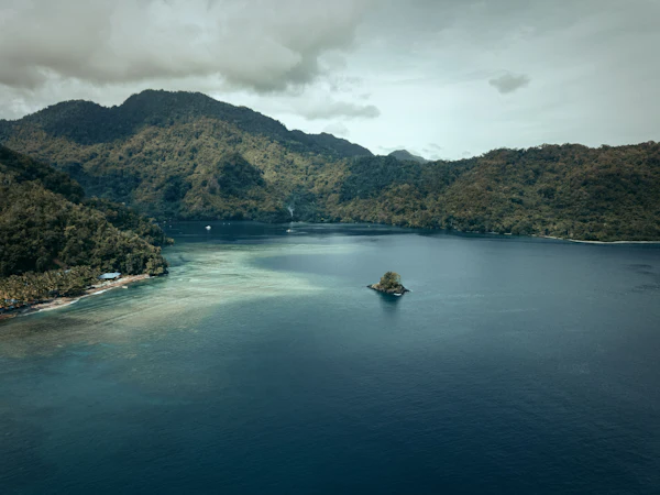Green trees on an island surrounded by water