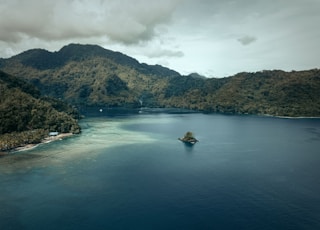 green trees on island surrounded by water during daytime