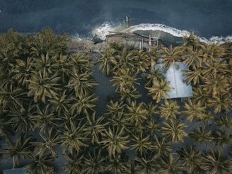 papua new guinea travel guide