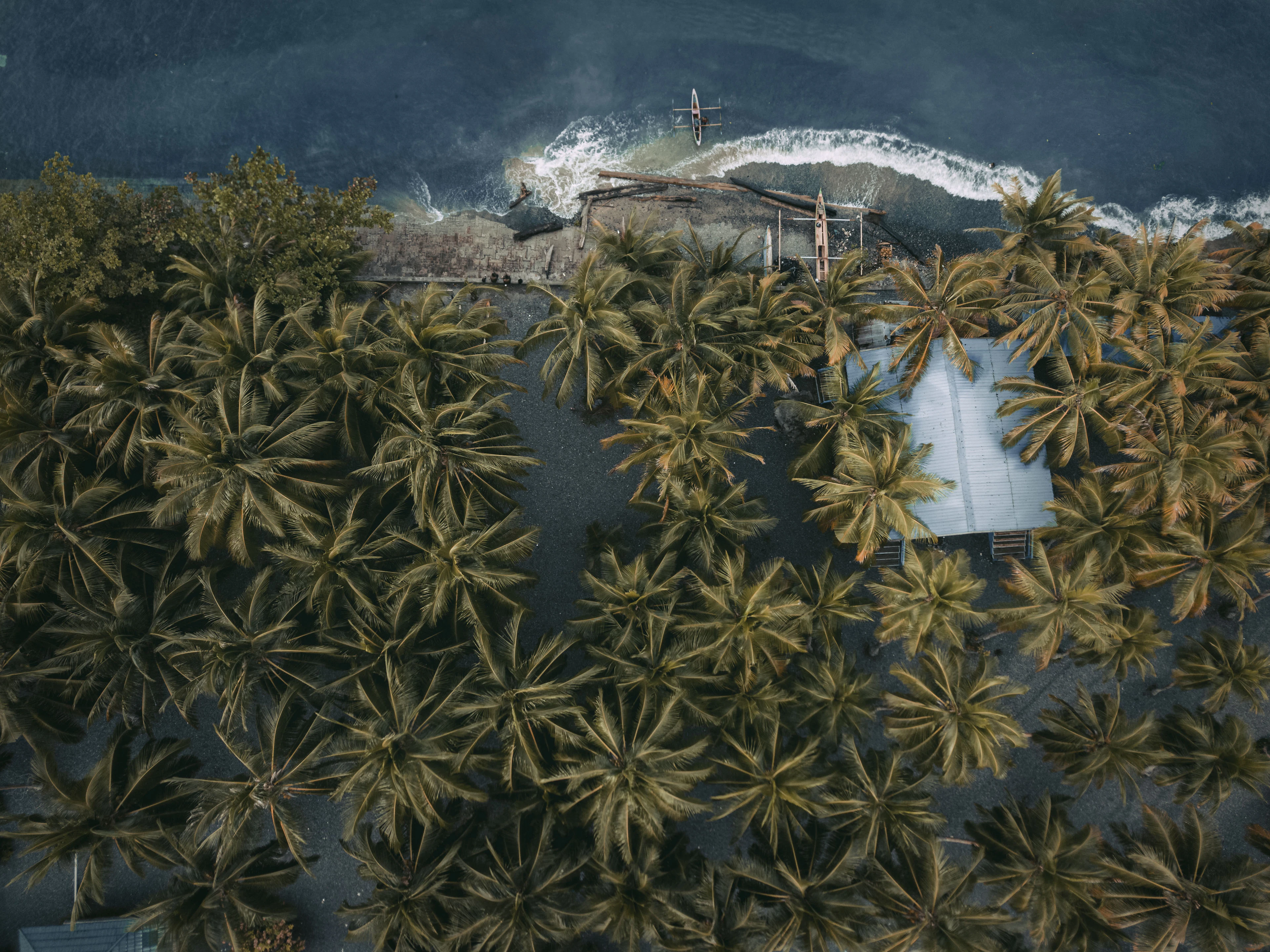 Papua New Guinea landscape