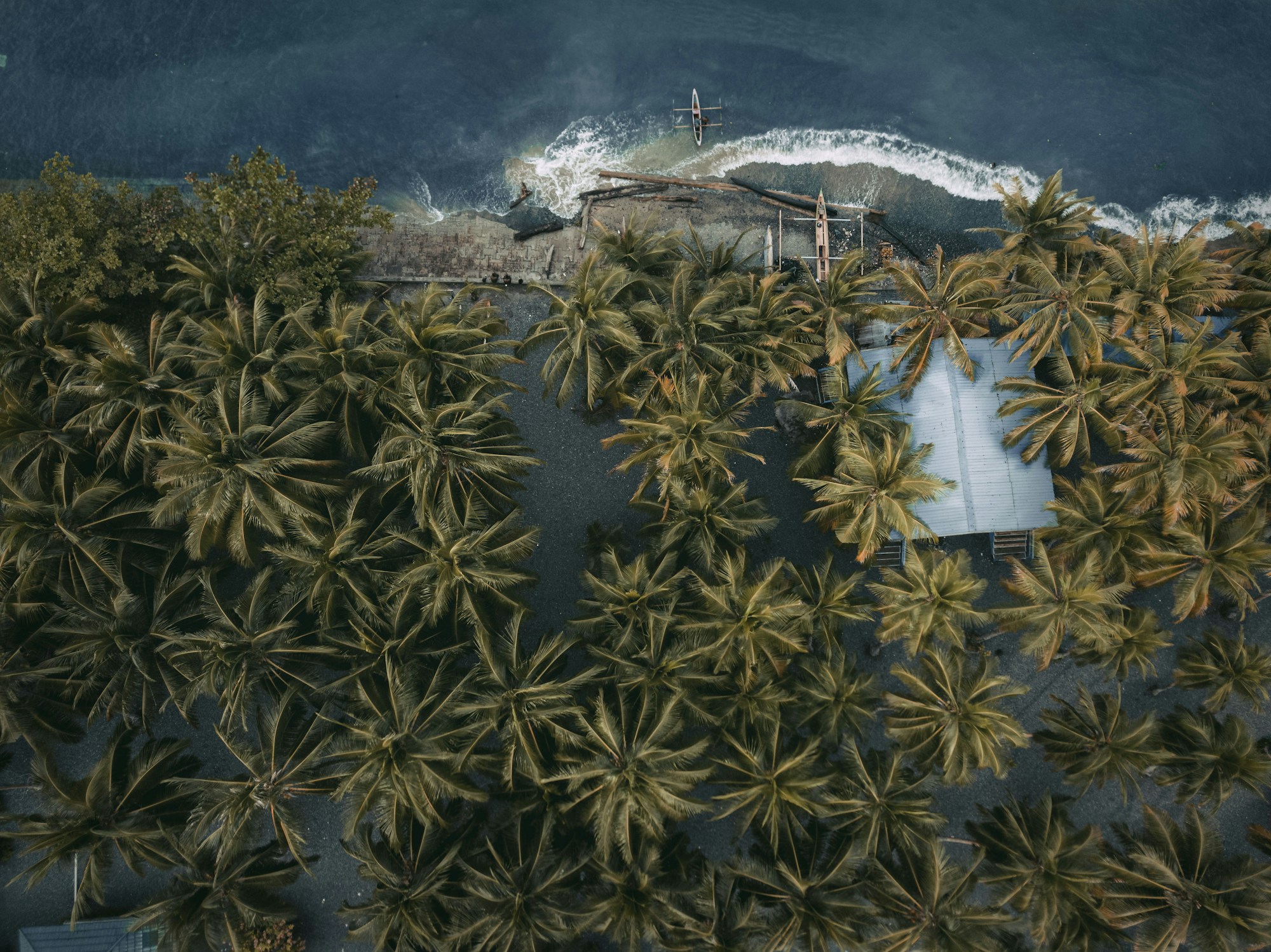 Papua New Guinea: Exploring Culture, Customs & Festivals