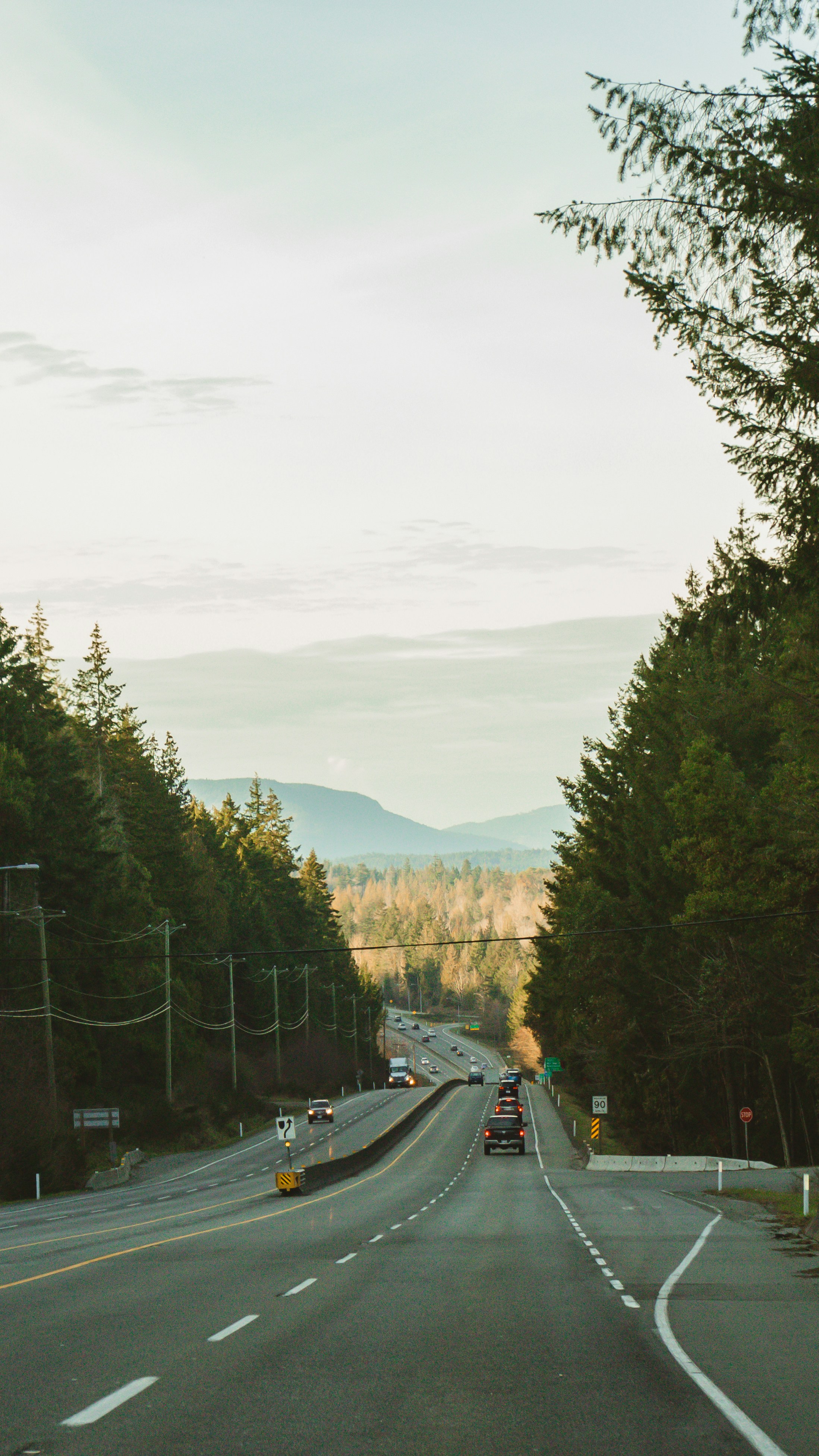 Photo by colefreeman