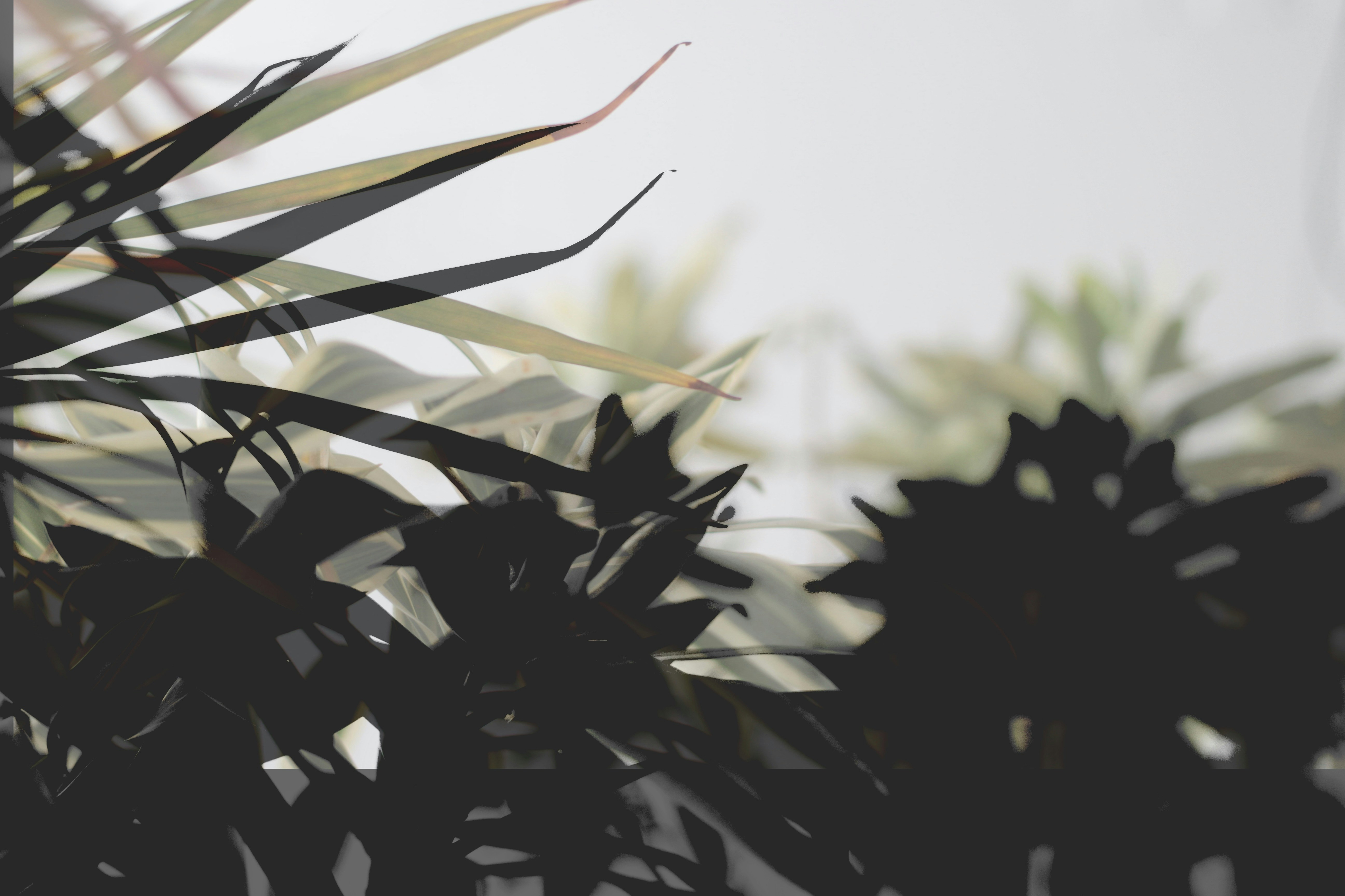 Photo by joshua_hoehne