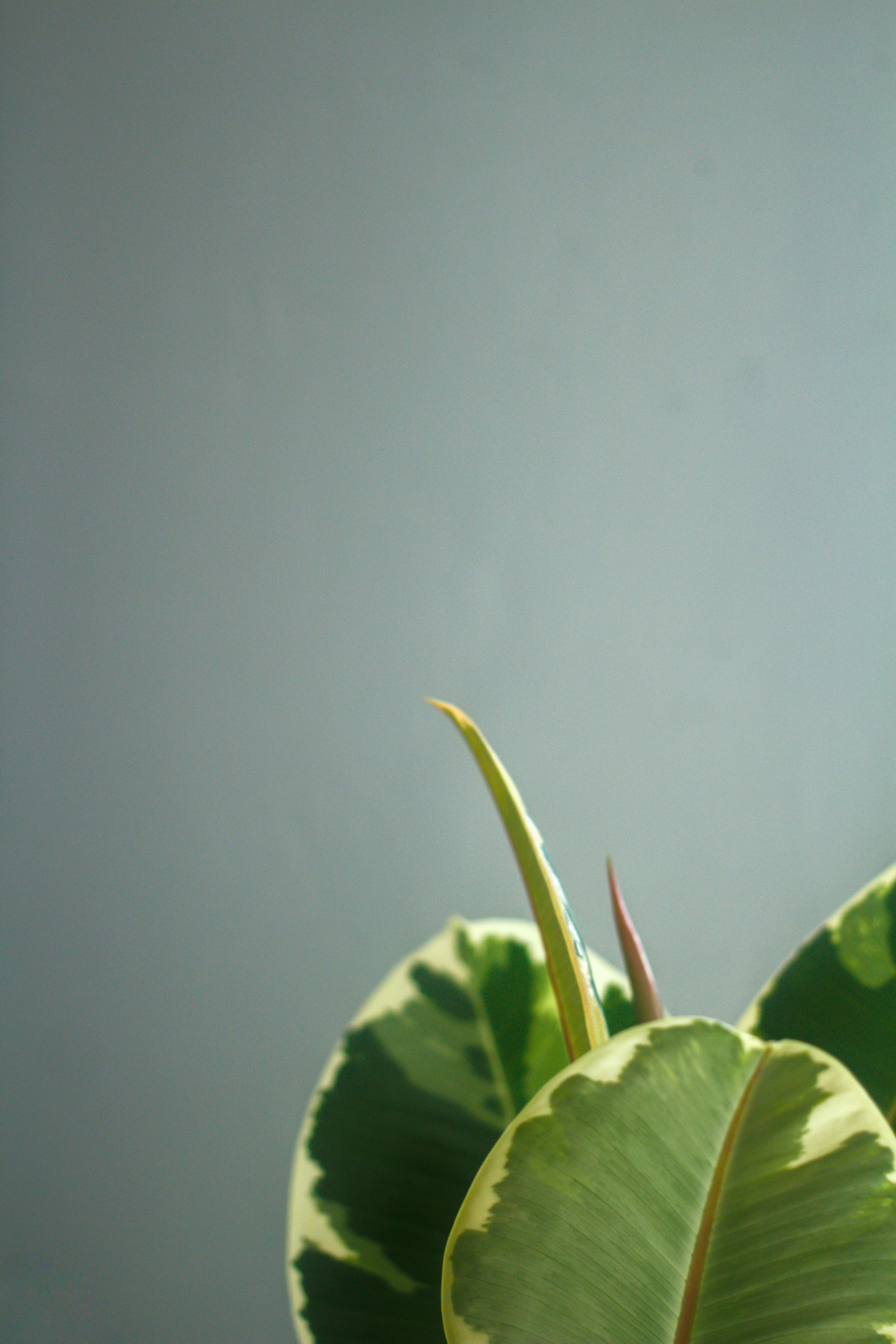 Photo by joshua_hoehne