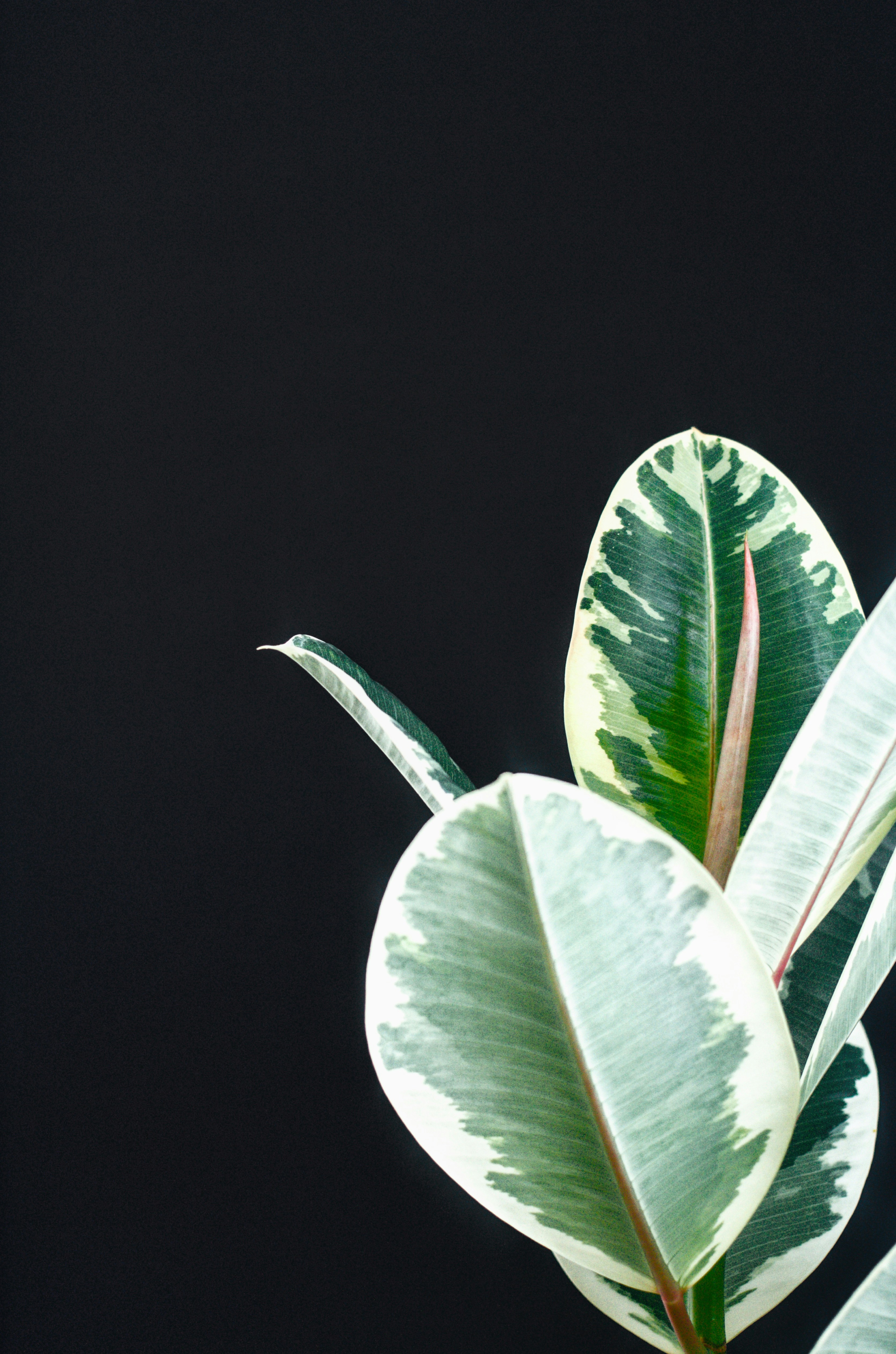 Photo by joshua_hoehne